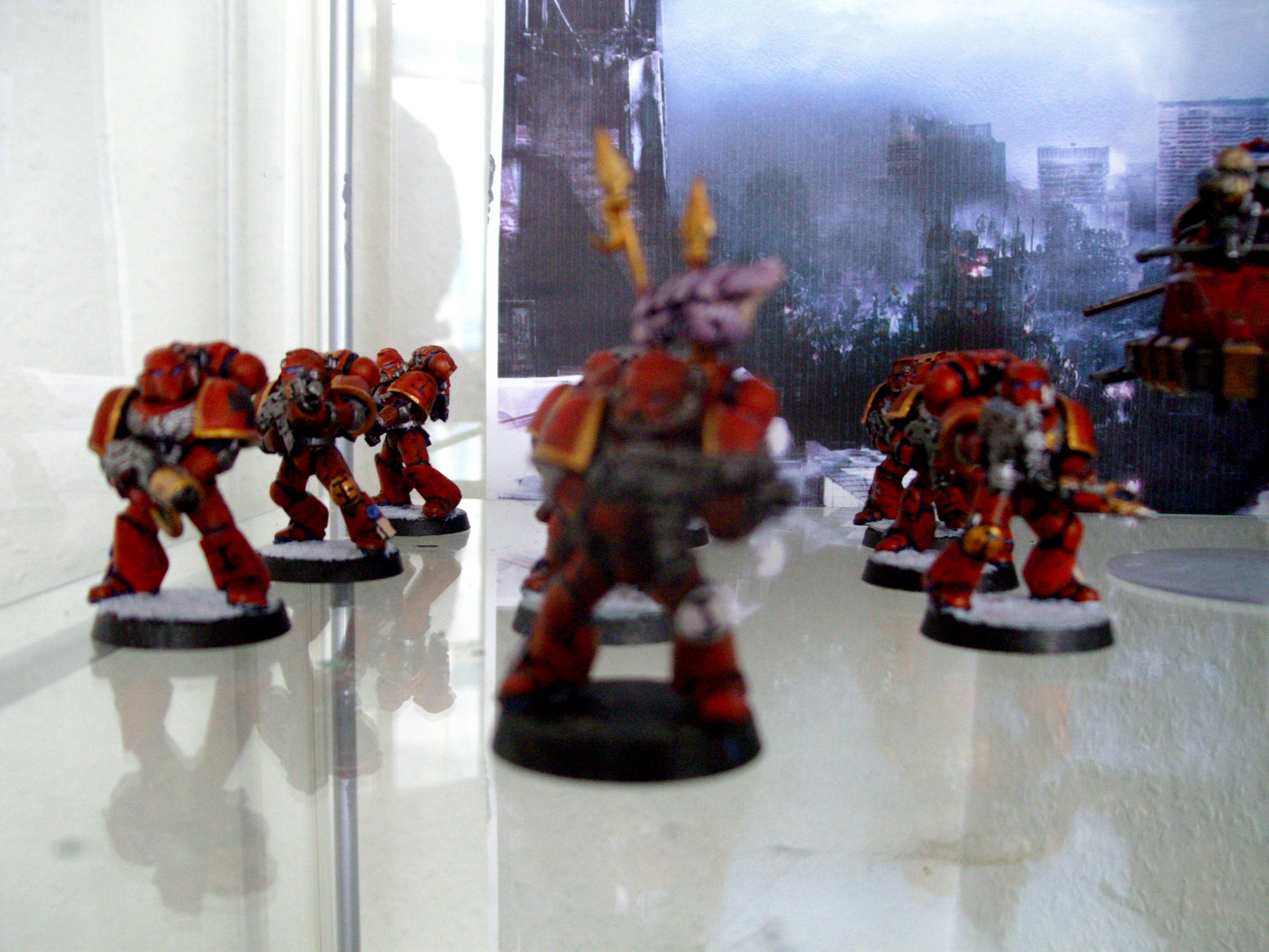 Space Marines, Tyranidskull