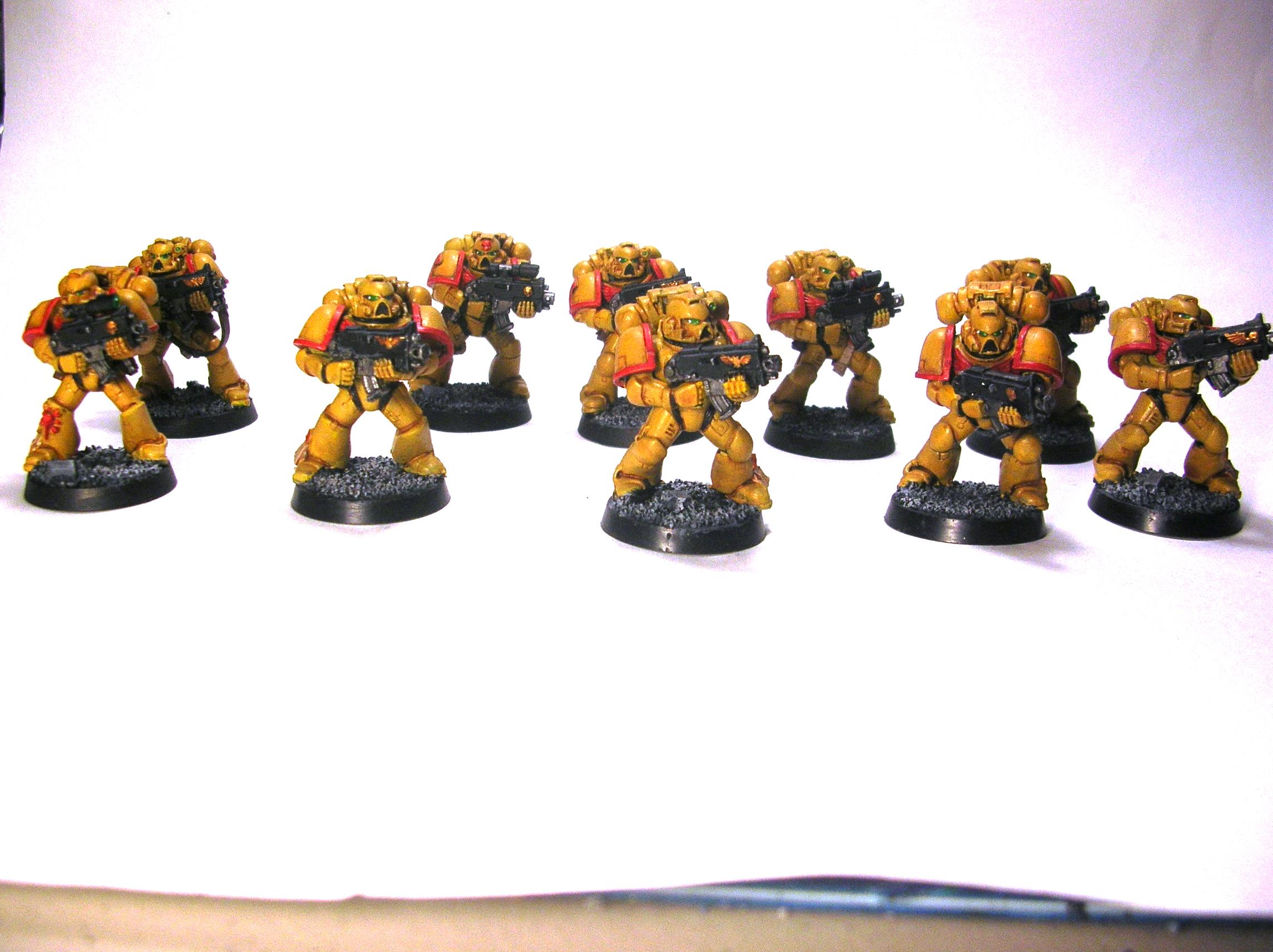 Imperial Fists, Space Marines, Starter Set, Tactical Squad
