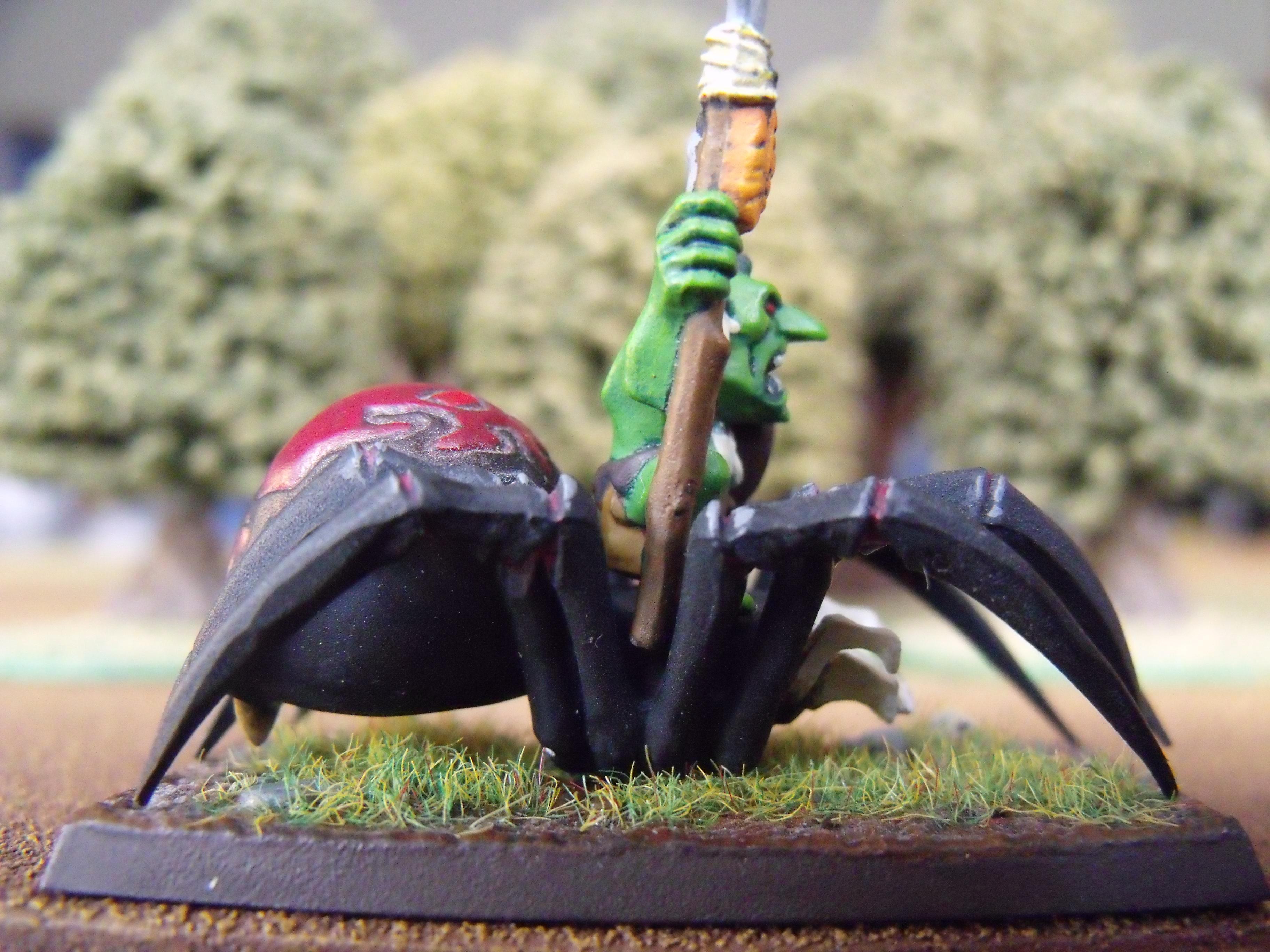 Forest Goblin, Orcs And Goblins, Spider Rider, Warhamme Fantasy