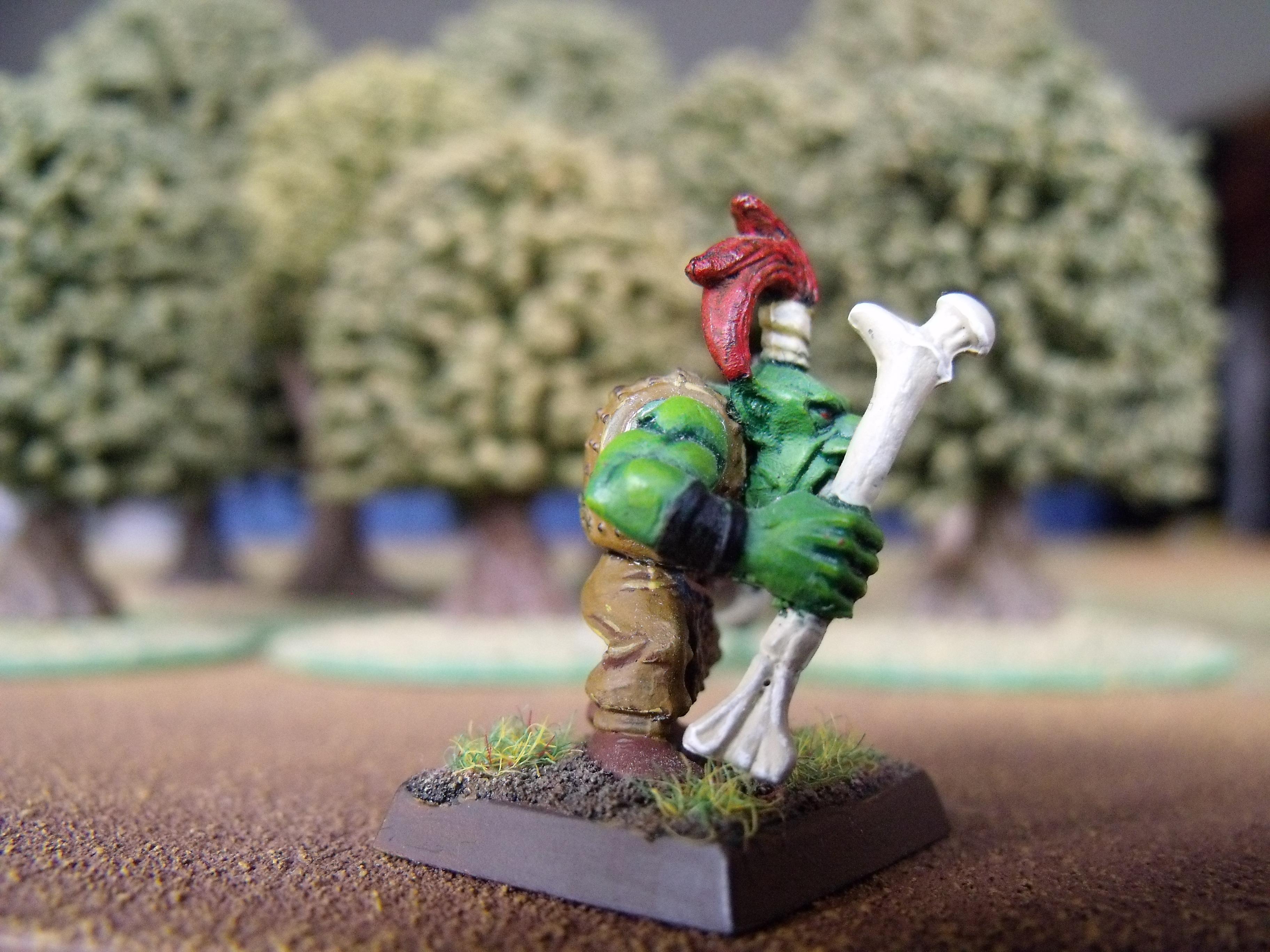 Forest Goblin, Orcs And Goblins, Warhamme Fantasy