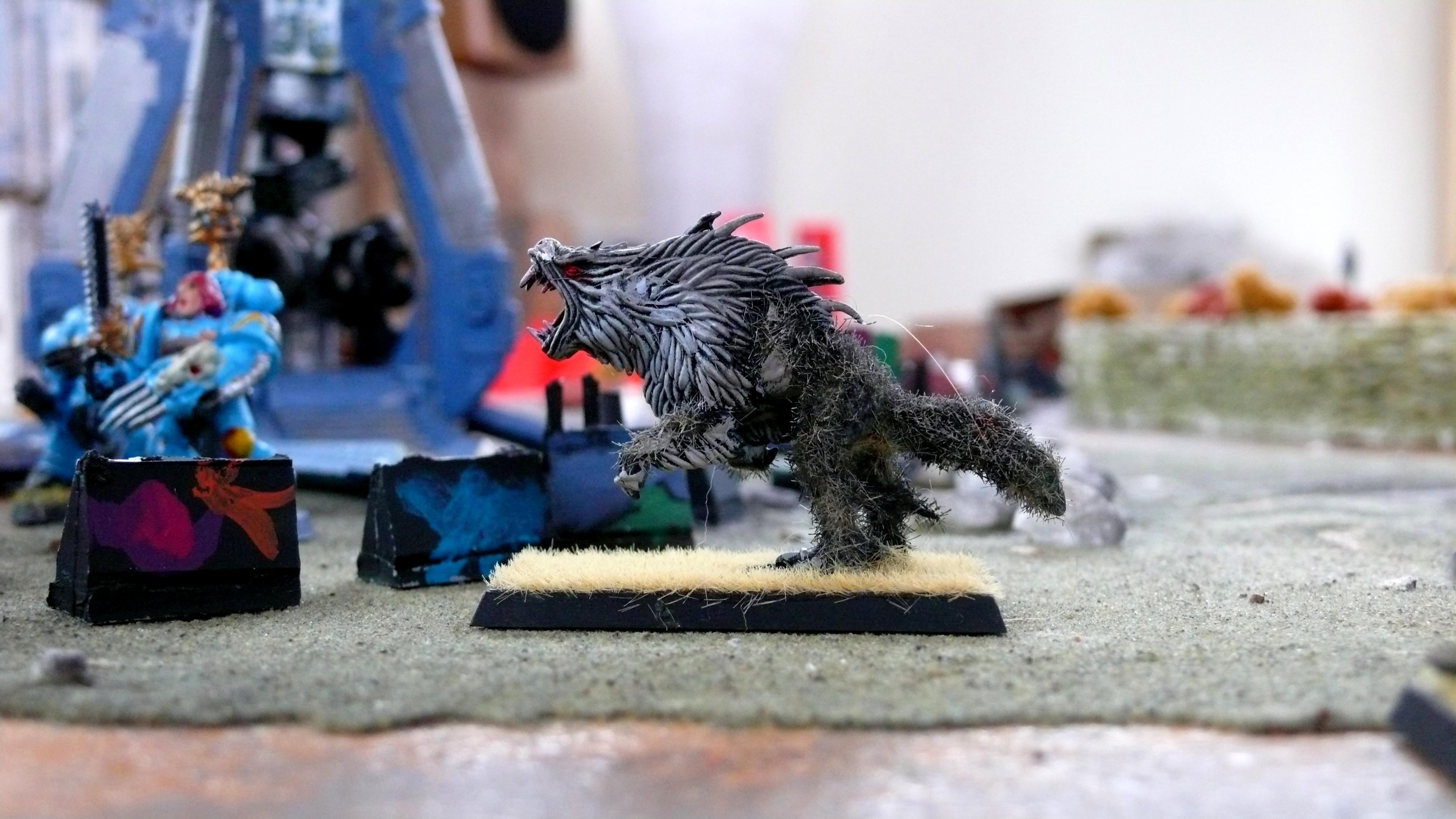Fenrisian, Space Wolves, Wolves