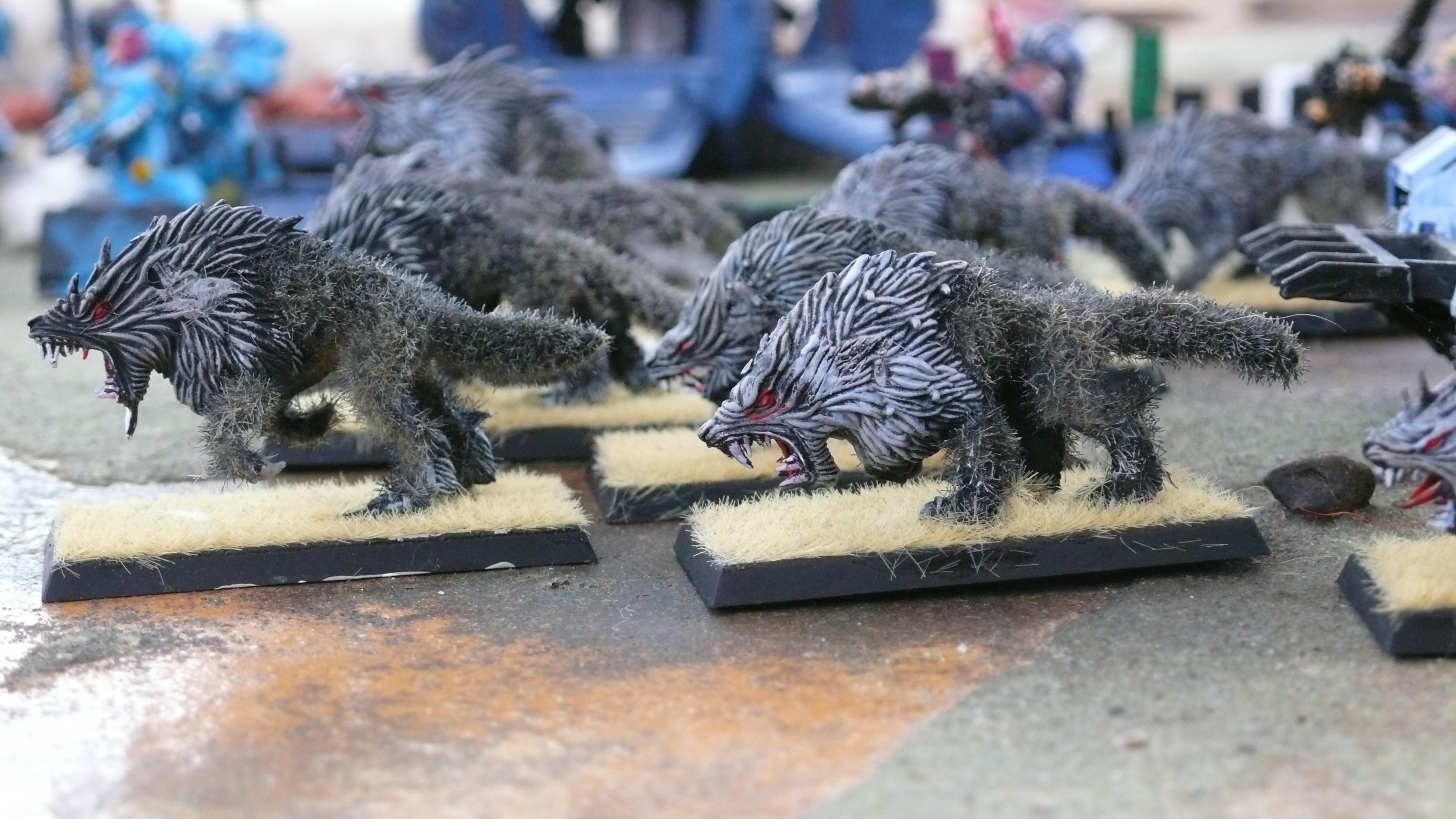 fenrisian wolves