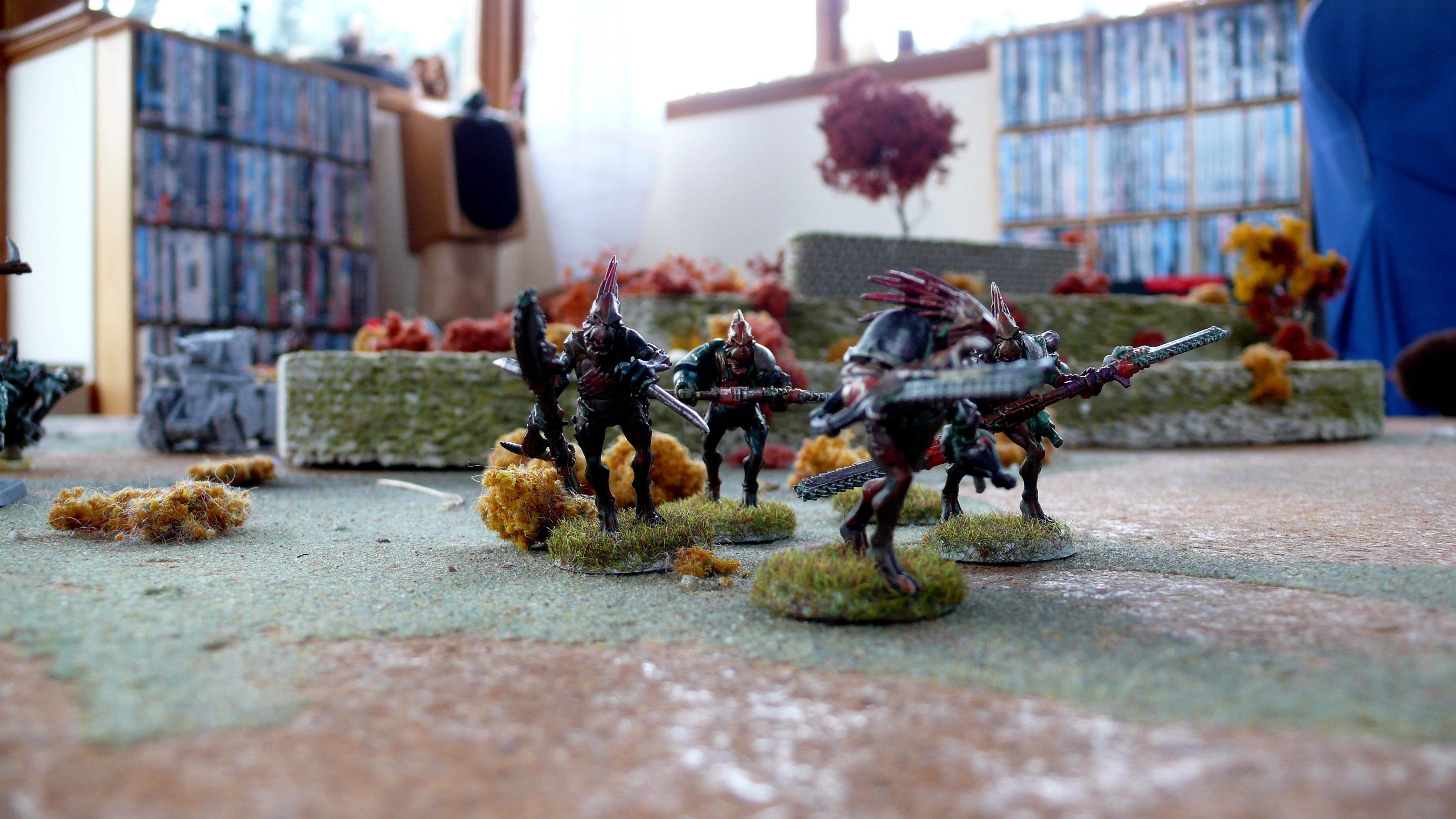 shaper council