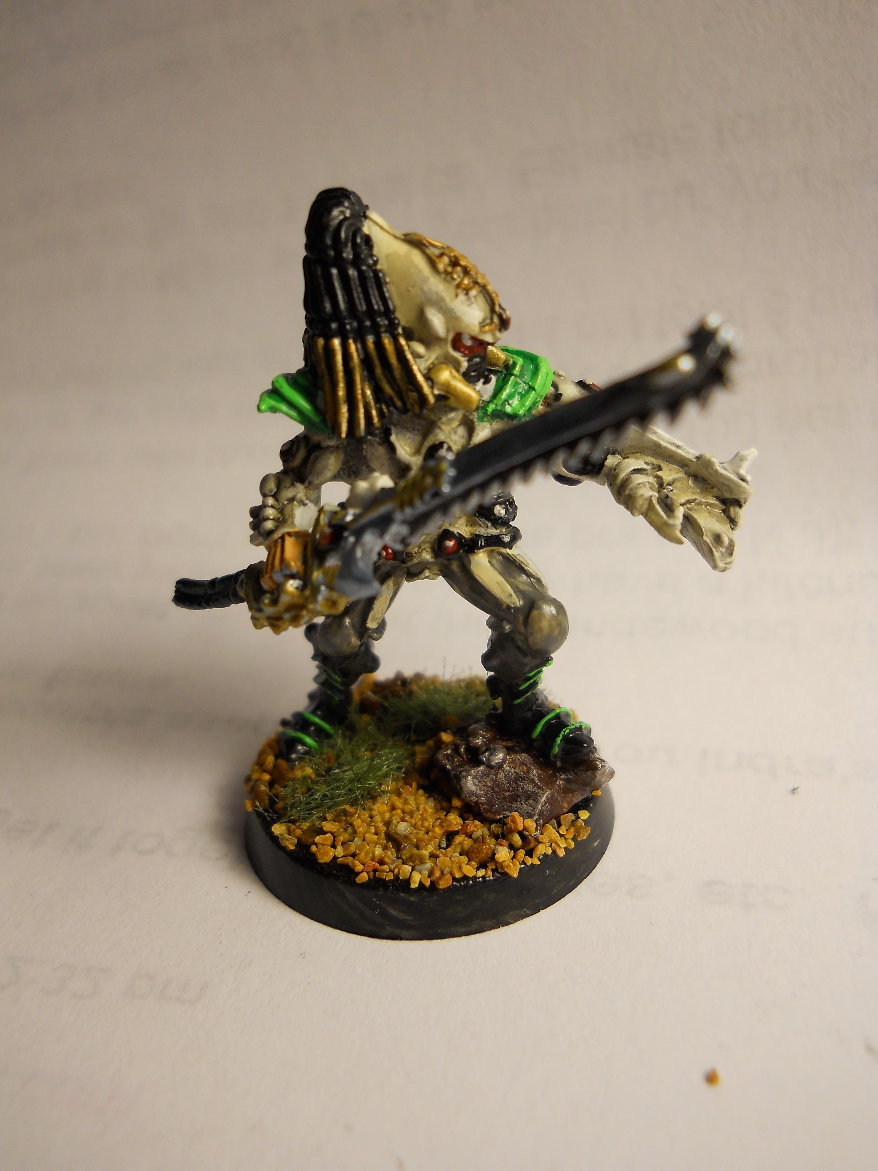 Eldar, Exarch, Scorpions, Ulthwe