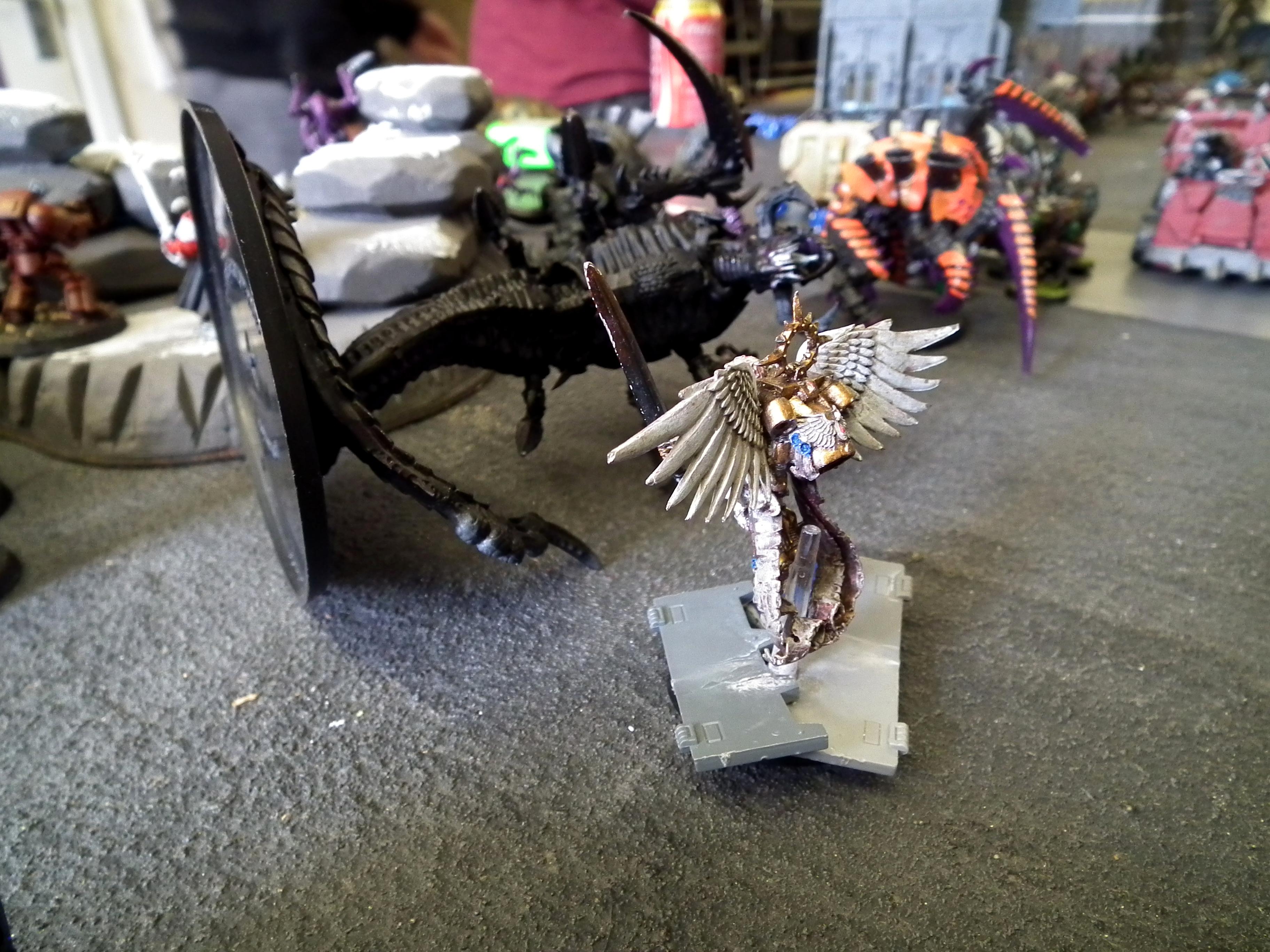 Sanguinor owns trygon!