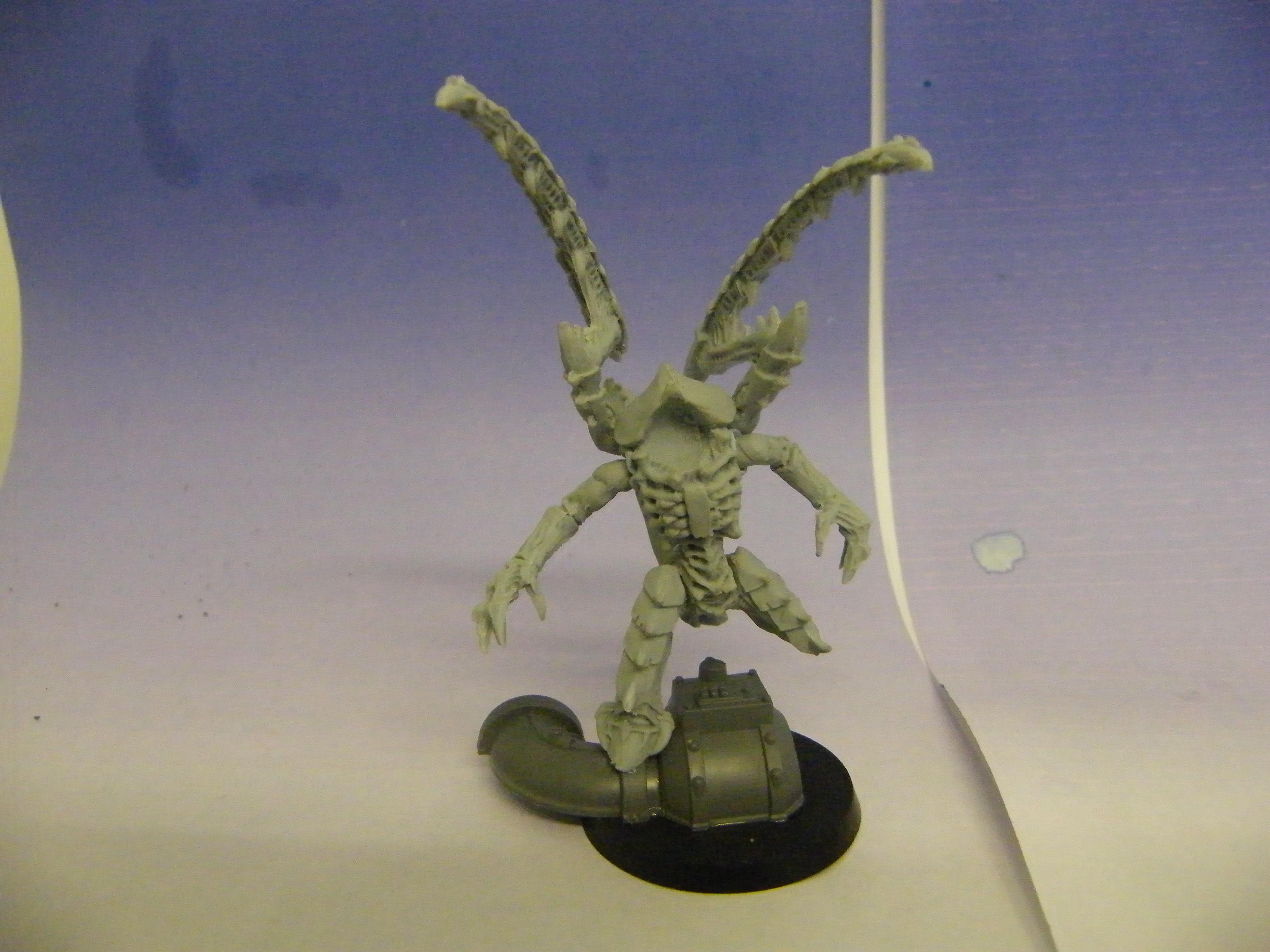 Slash Arms 1