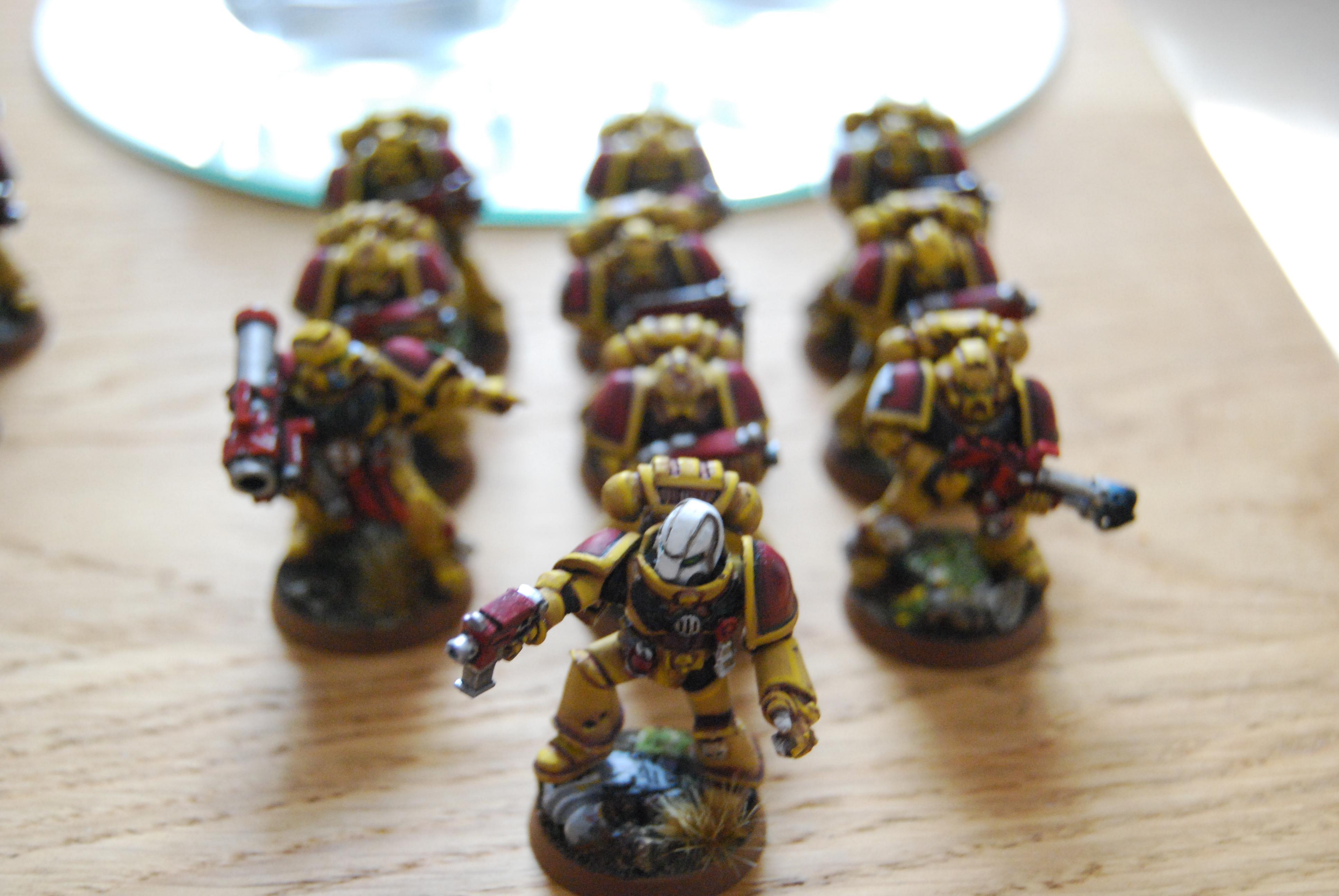 Angel, Lion, Space Marines, Tactical, Yellow