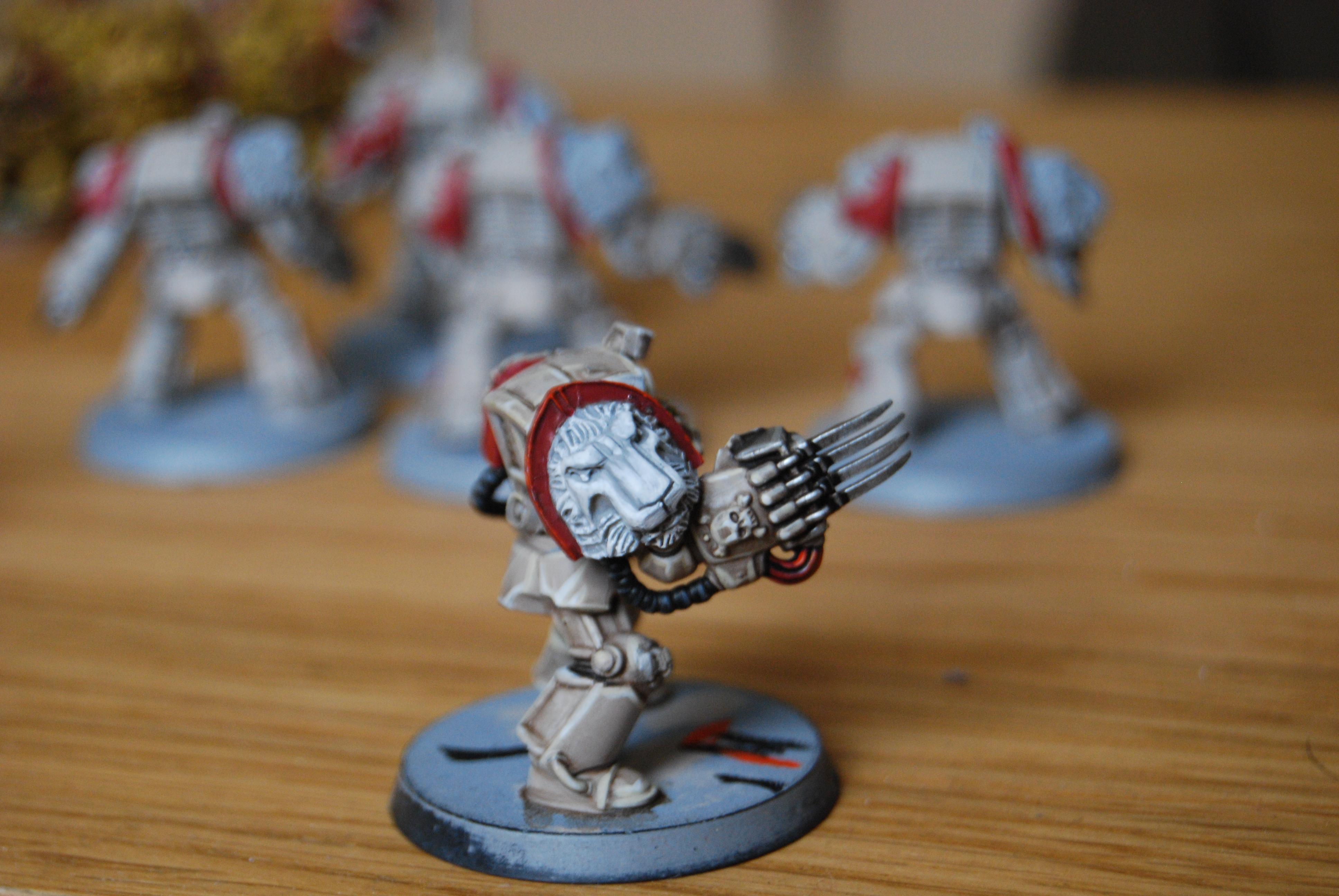 Angel, Assault, Lightning Claws, Lion, Scibor, Space Marines, Tactical, Terminator Armor, Yellow