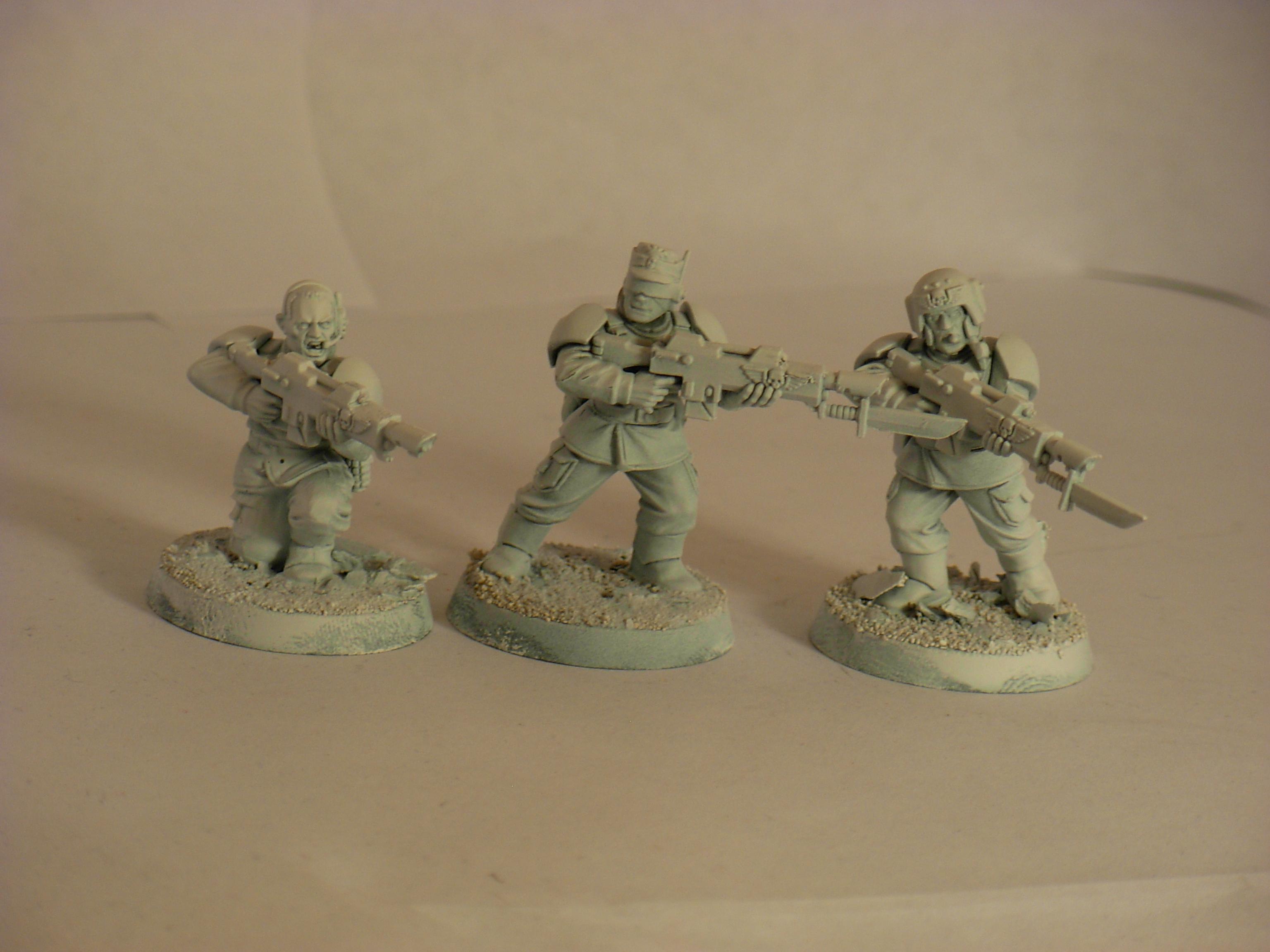3 Primied Vets