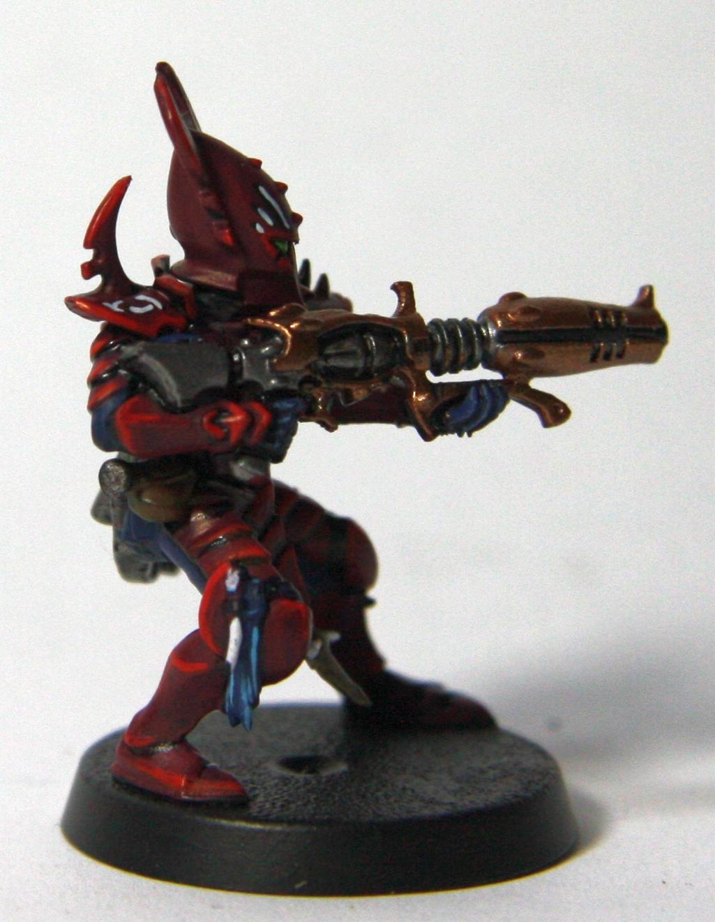 Dark Eldar, Warriors