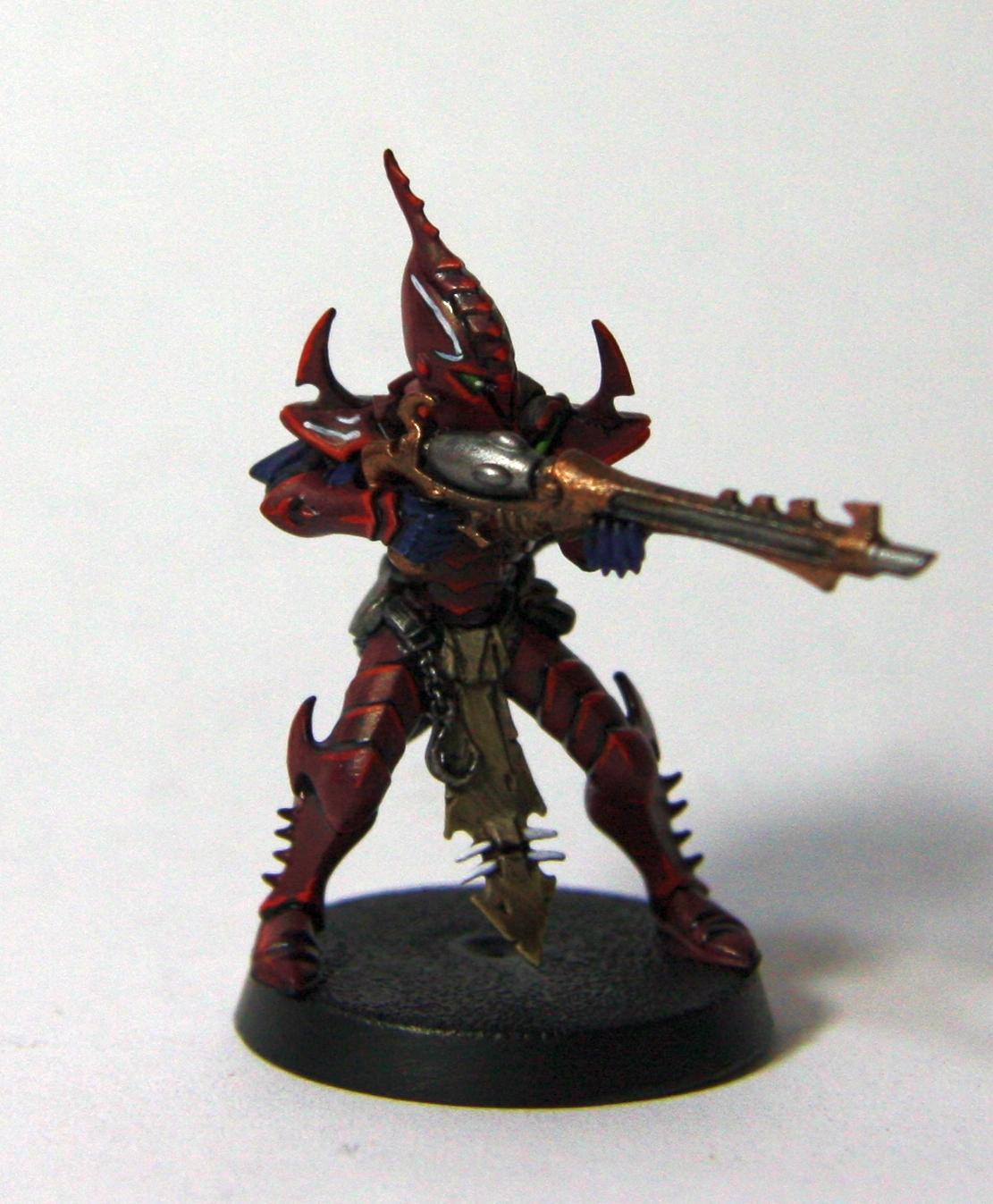 Dark Eldar, Warriors