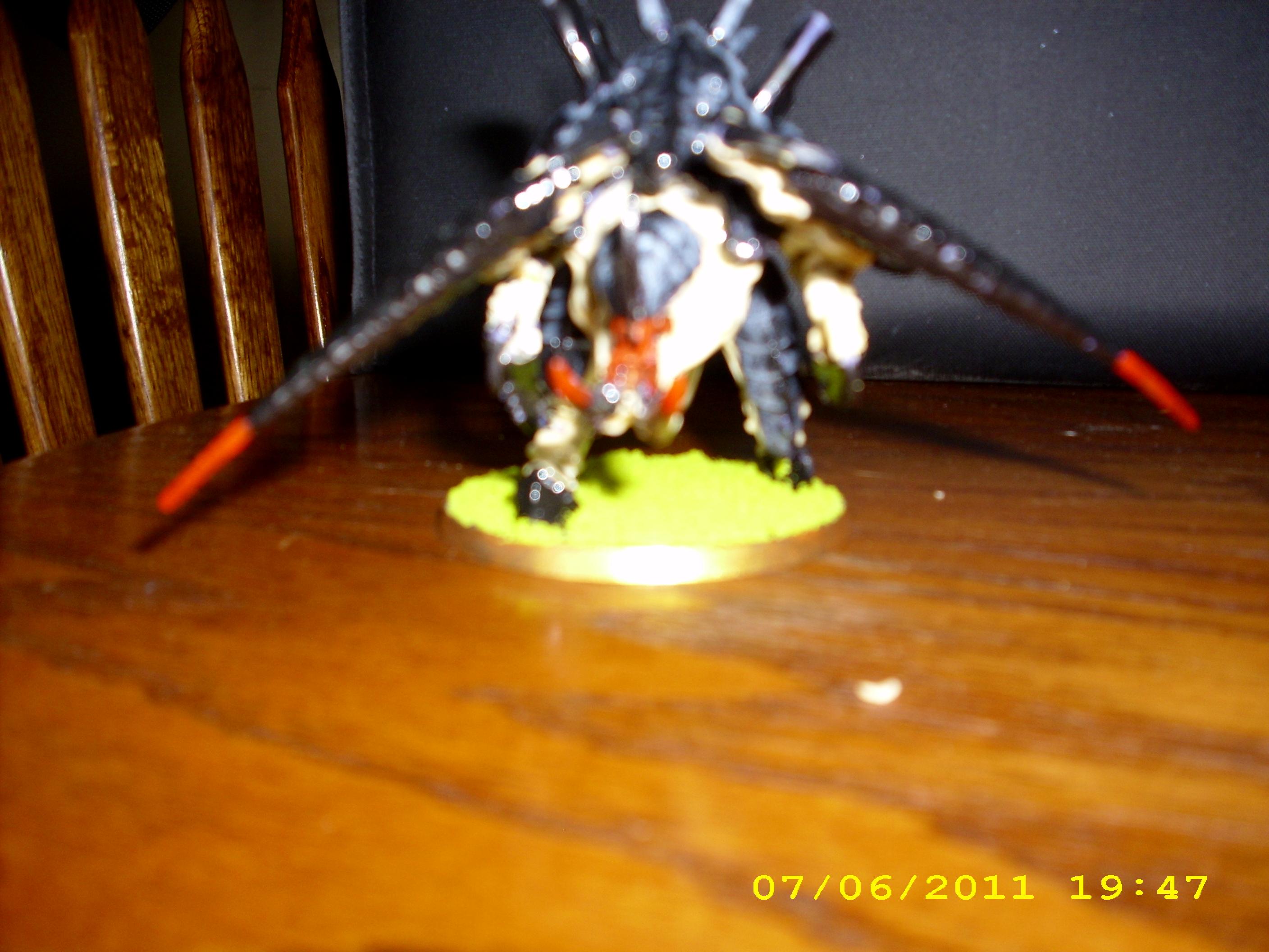 Carnifex