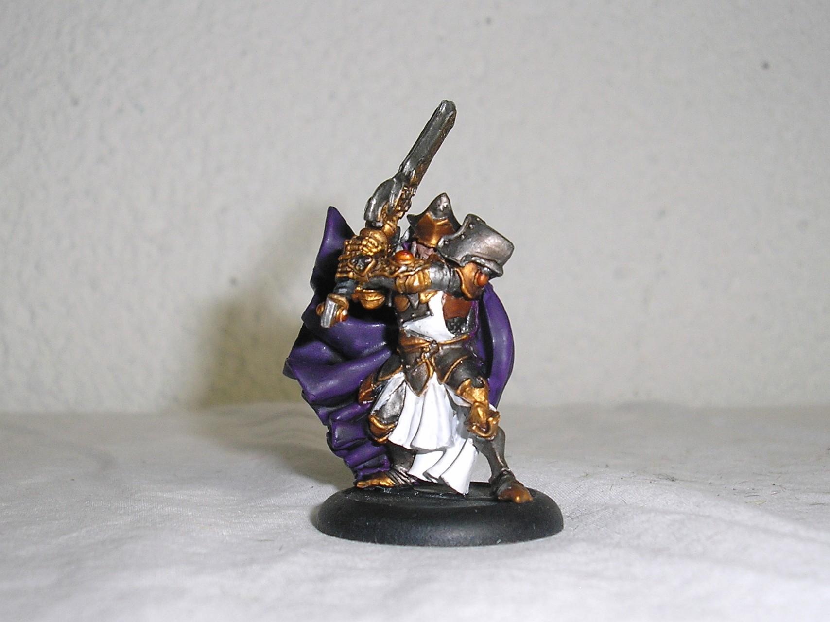 Paladin Vilmon, Protectorate Of Menoth