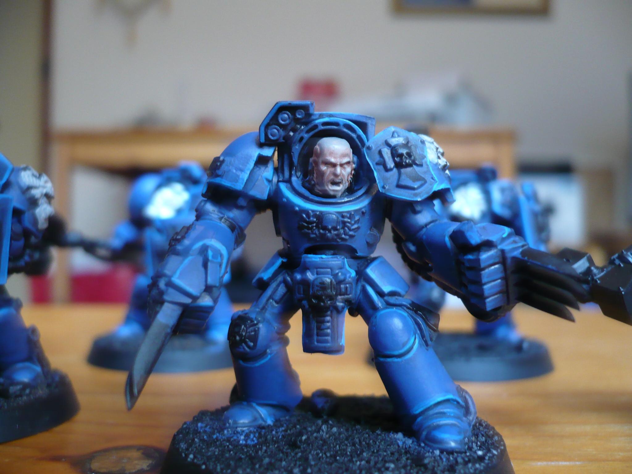 sgt wip