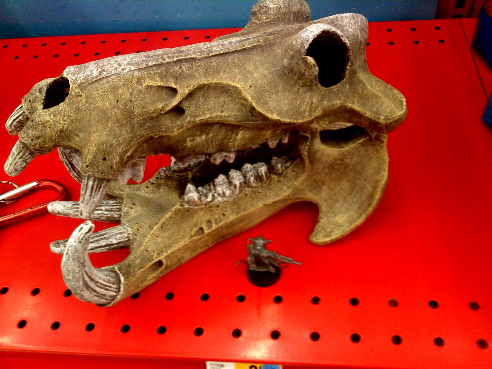 Hippo, Pet Store, Skull