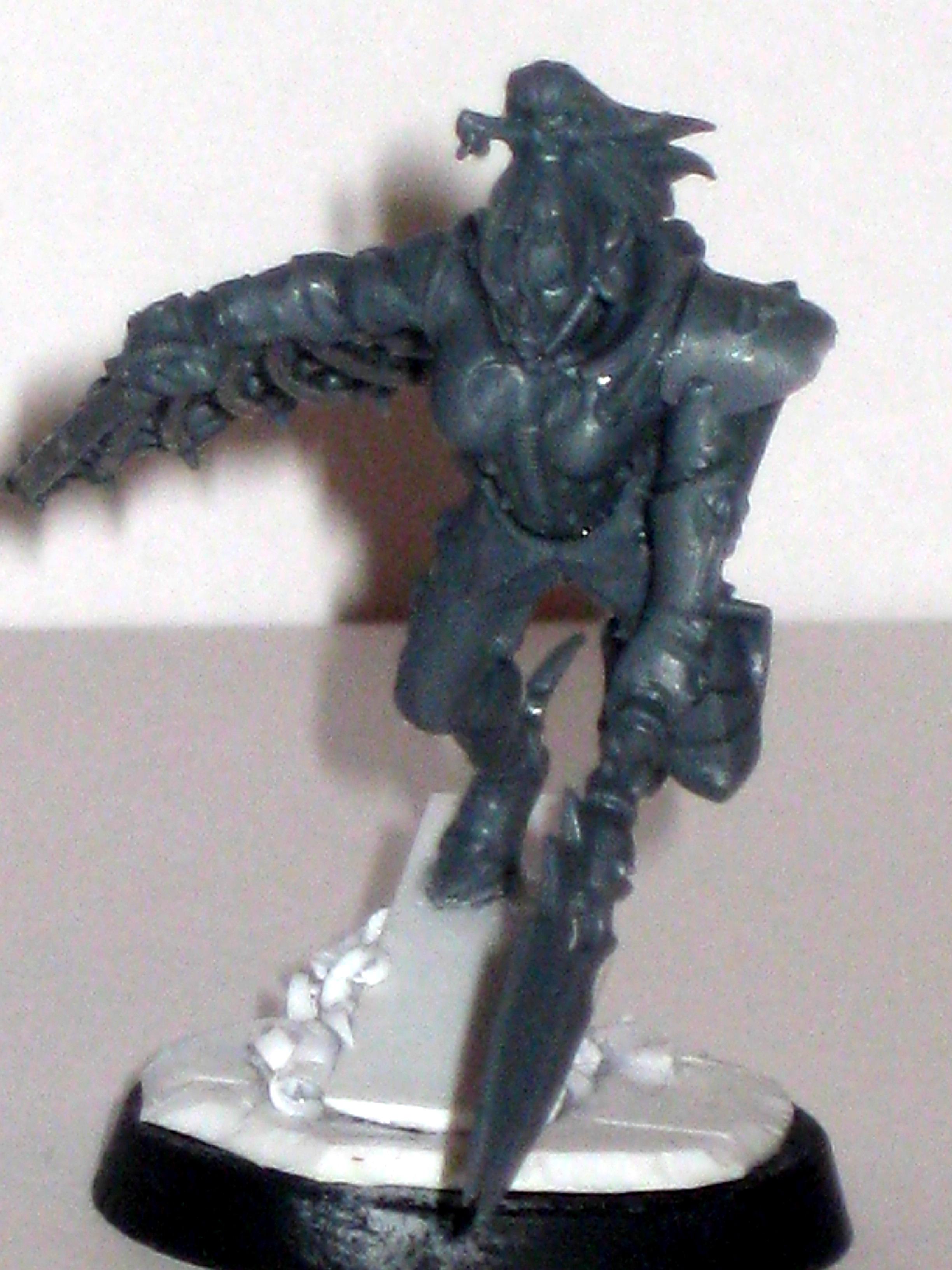 Dark Eldar, Work In Progress, Wyches