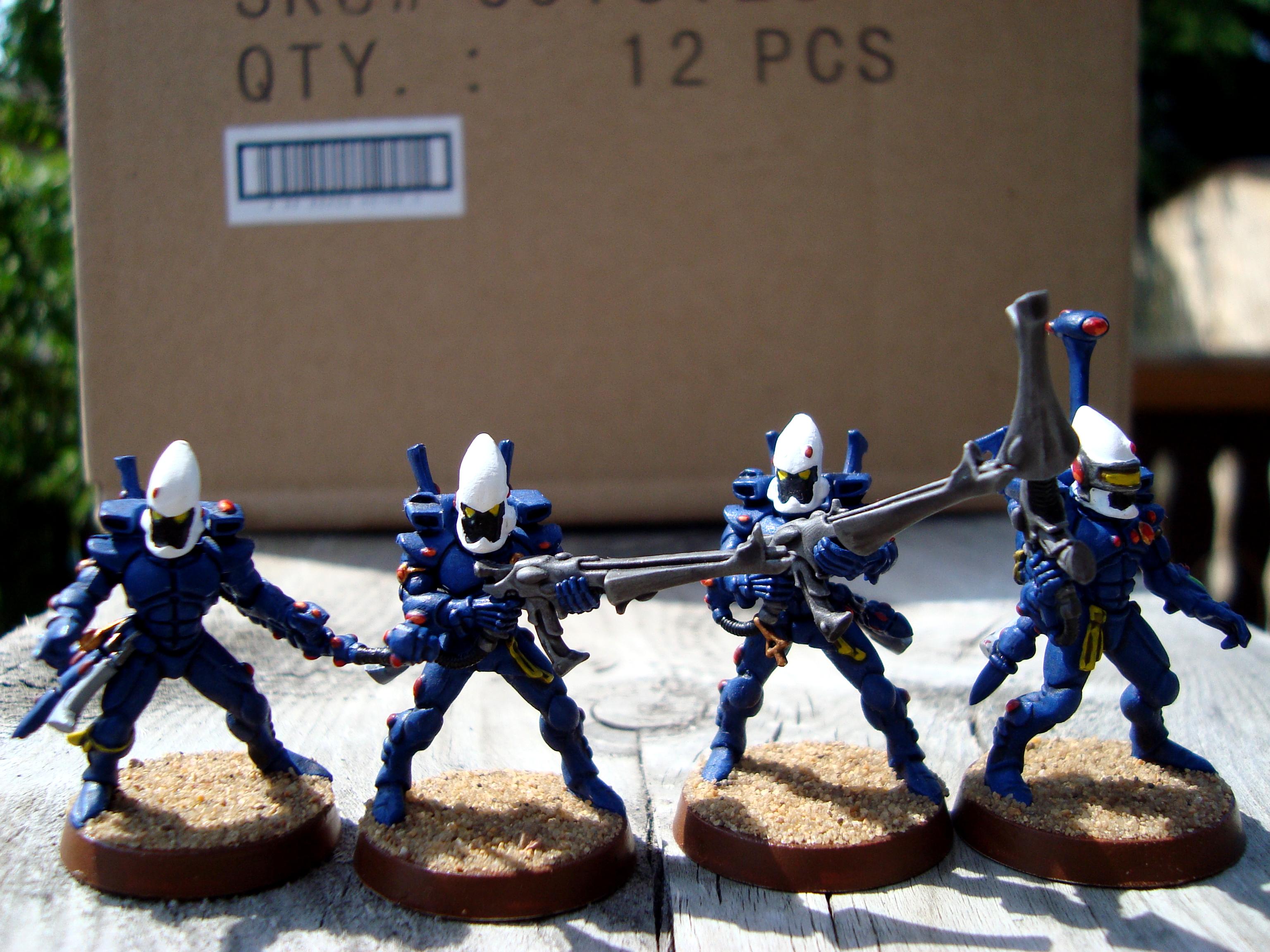 Eldar Guardians