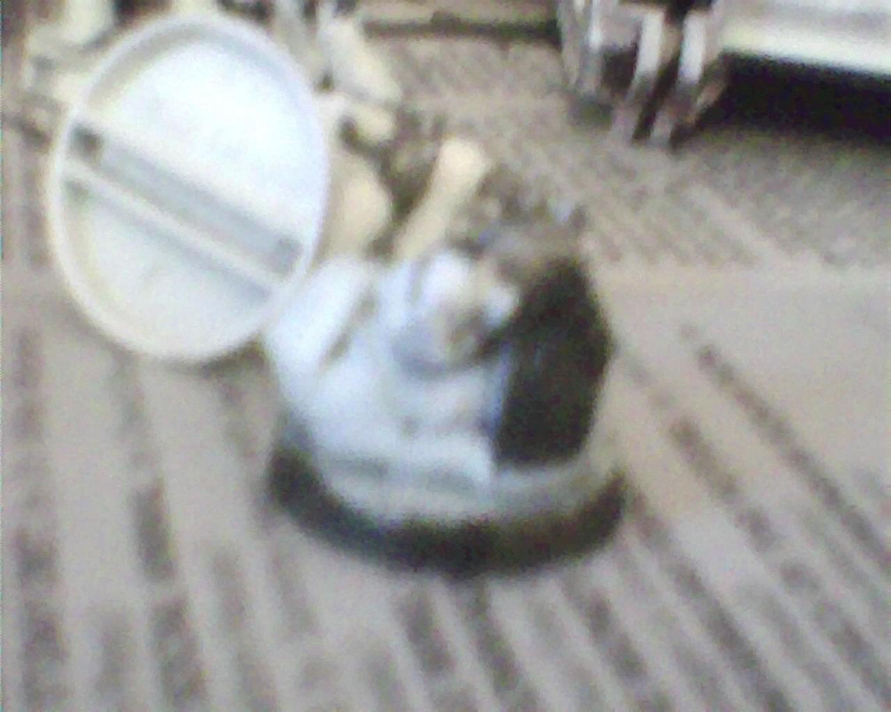 Blurred Photo, one of my objectives