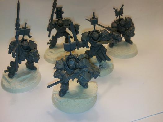 Grey Knights, Paladins