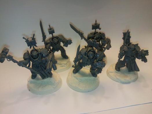 Grey Knights, Paladins