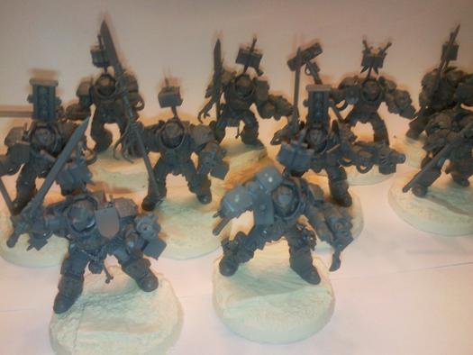 Grey Knights, Paladins