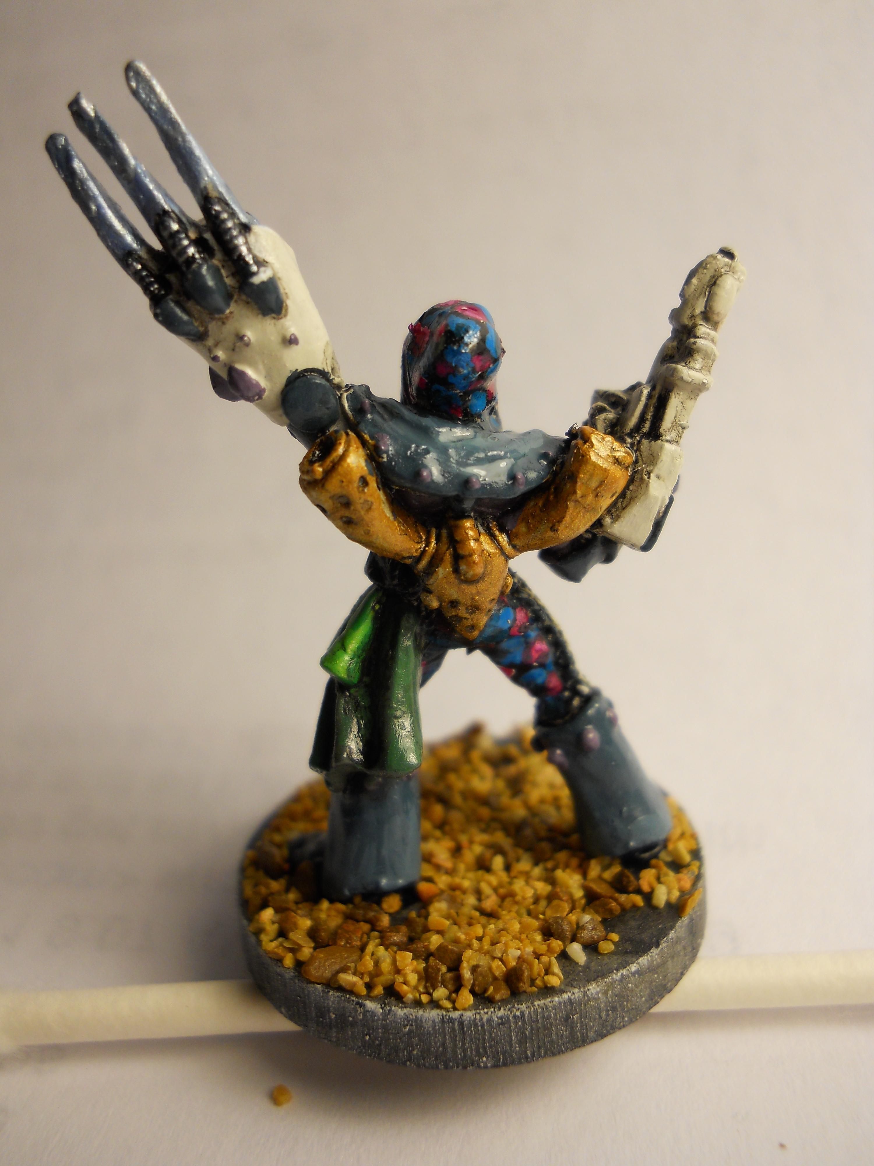 Eldar, Harkequin, Shadowseer
