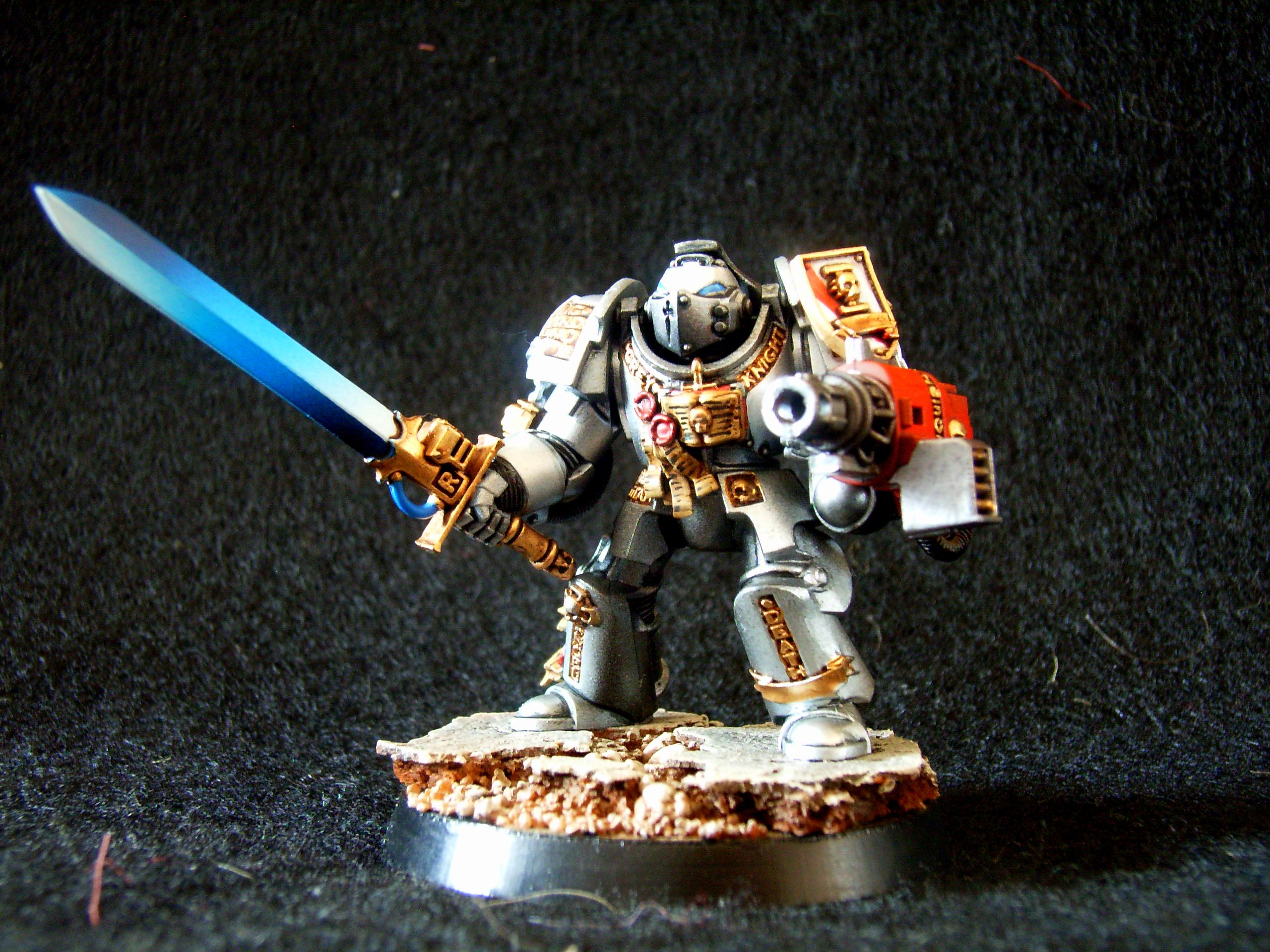 Draigo, Grey Knights, Paladins