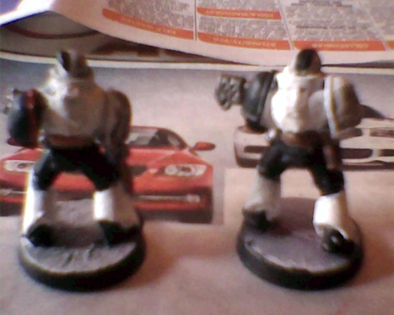 wolf guard flamer back
