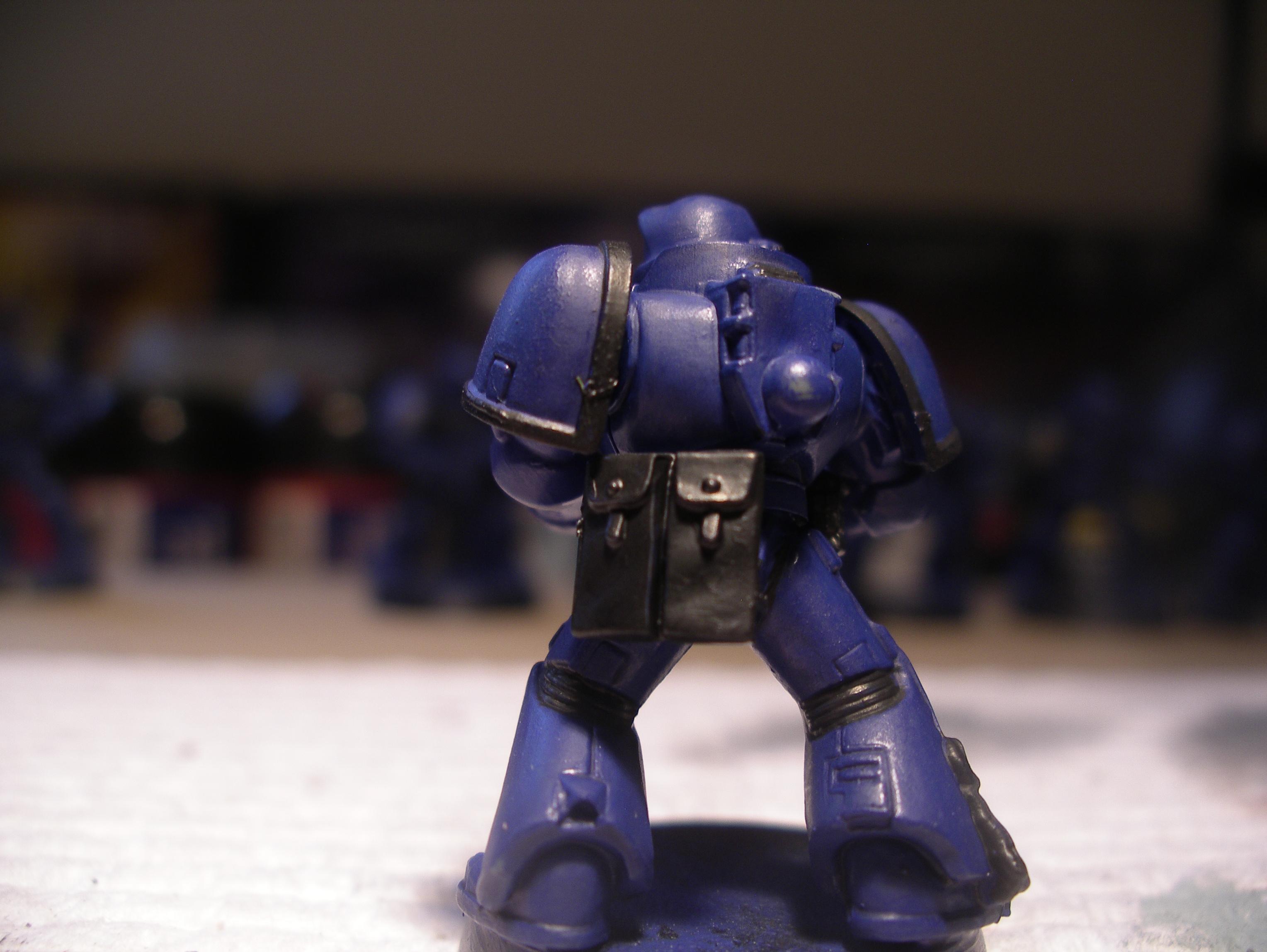 marine example back