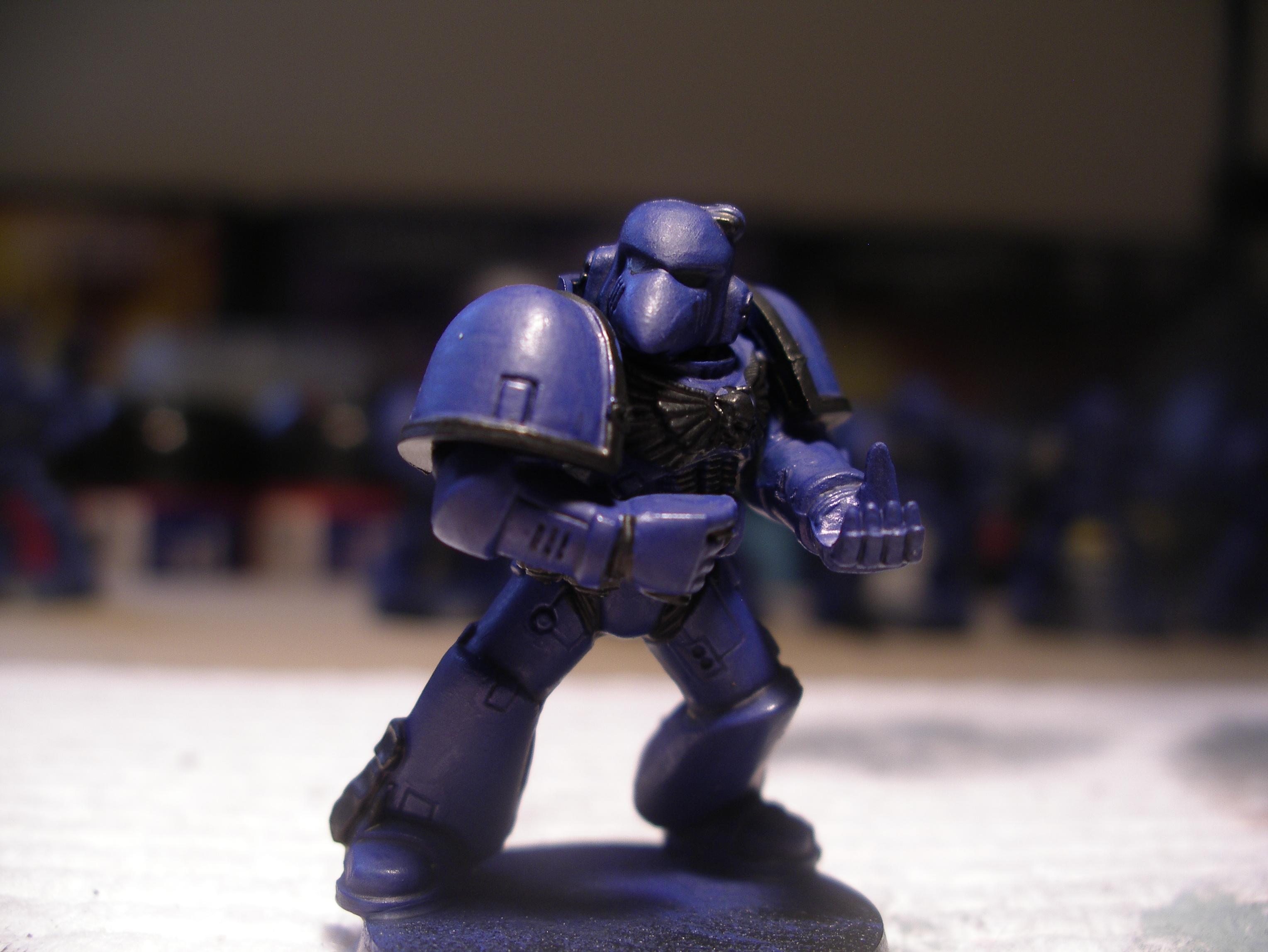 marine example