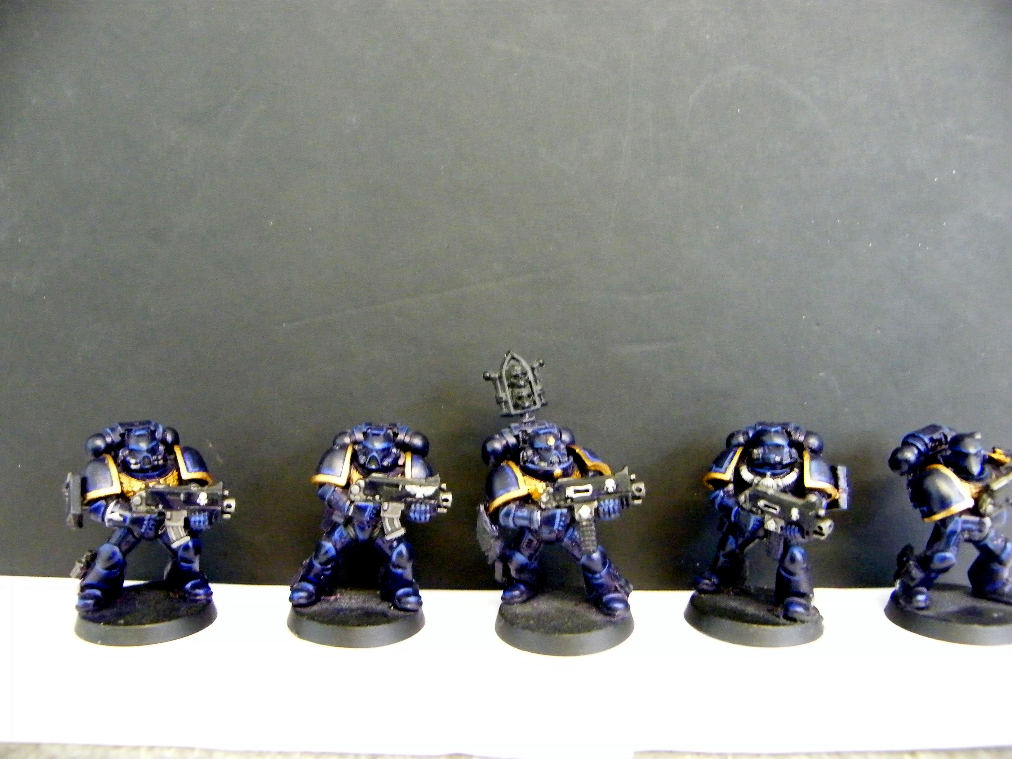 WIP Paladins