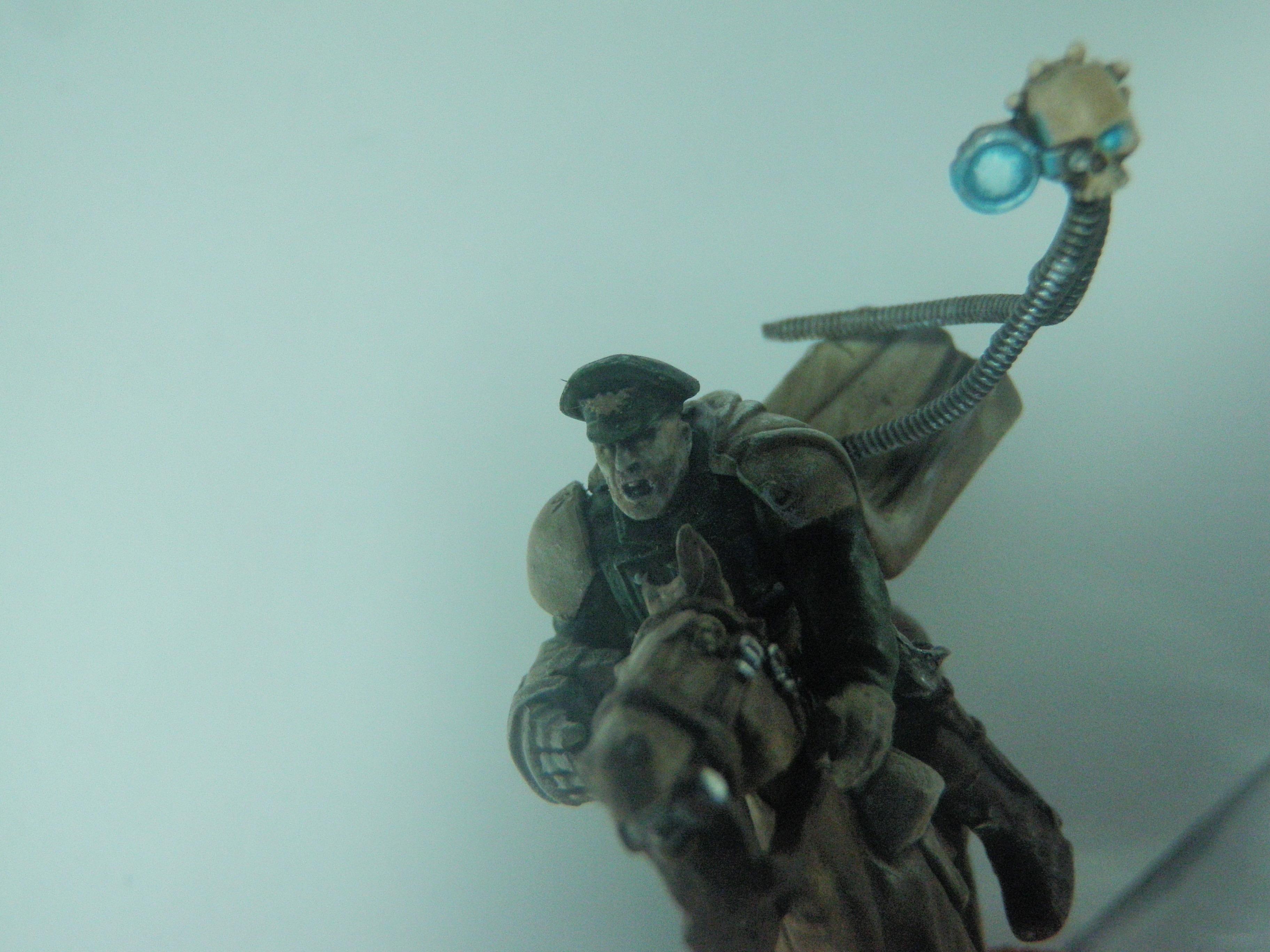 Imperial Guard, Rough Riders