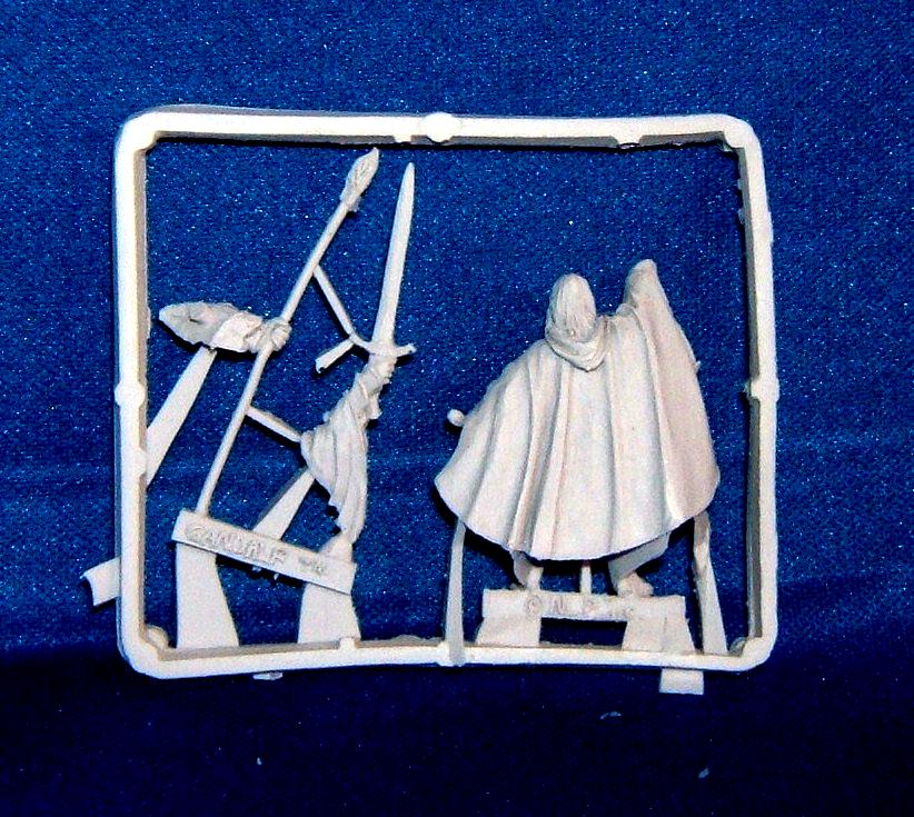 Blister, Finecast, Gandalf The Grey