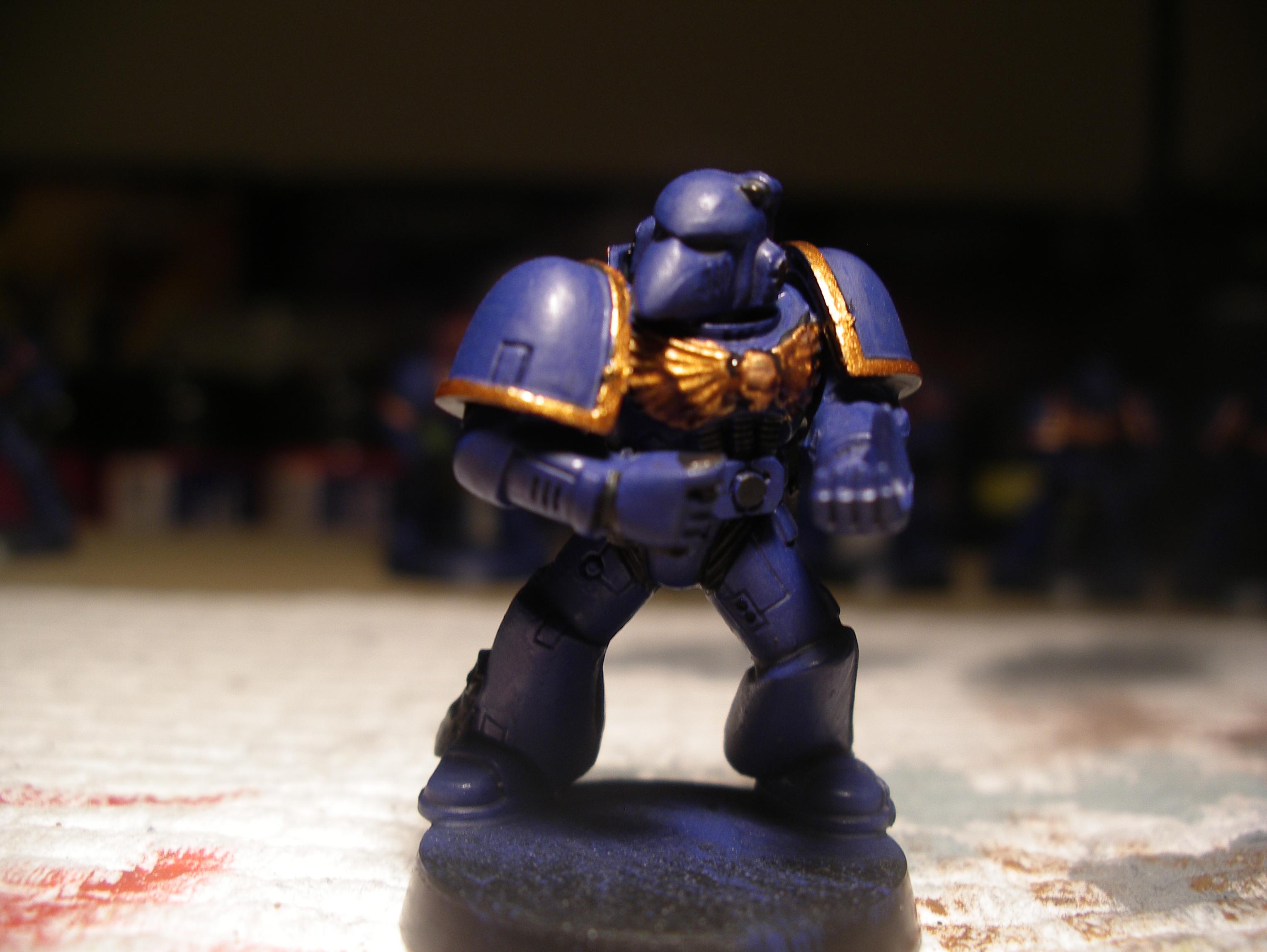 marine with gold 6