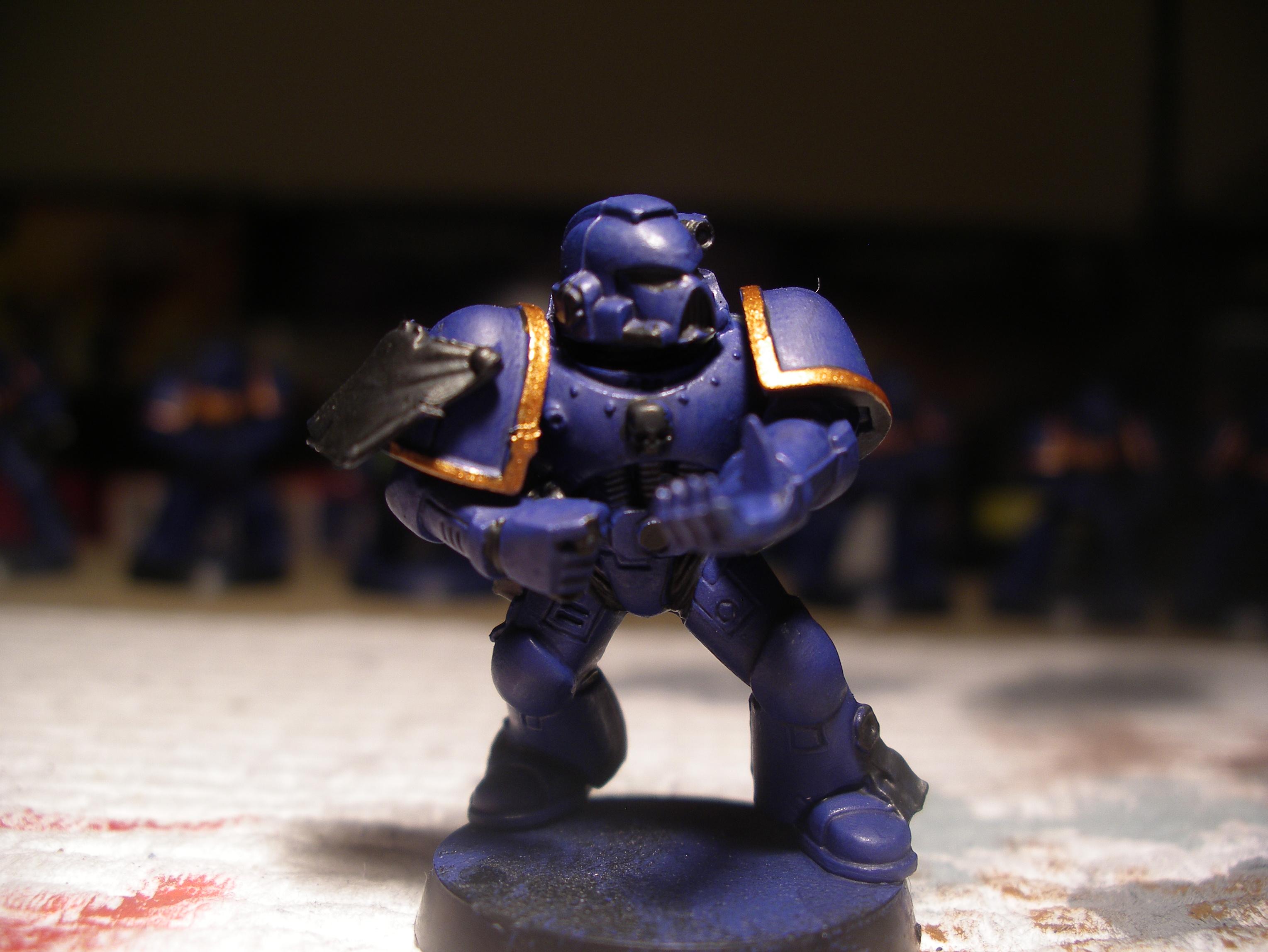 marine with gold 4