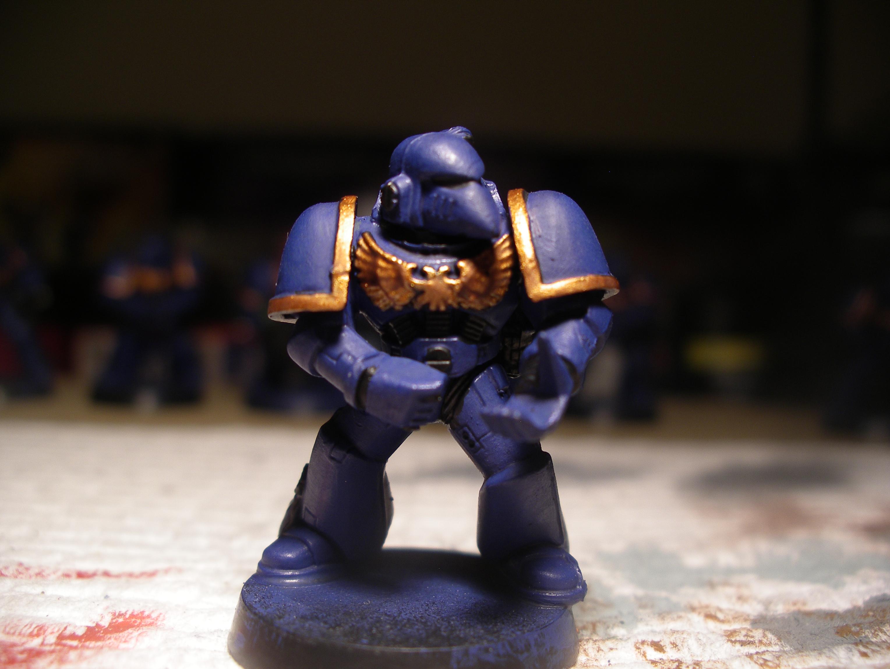 marine with gold 2
