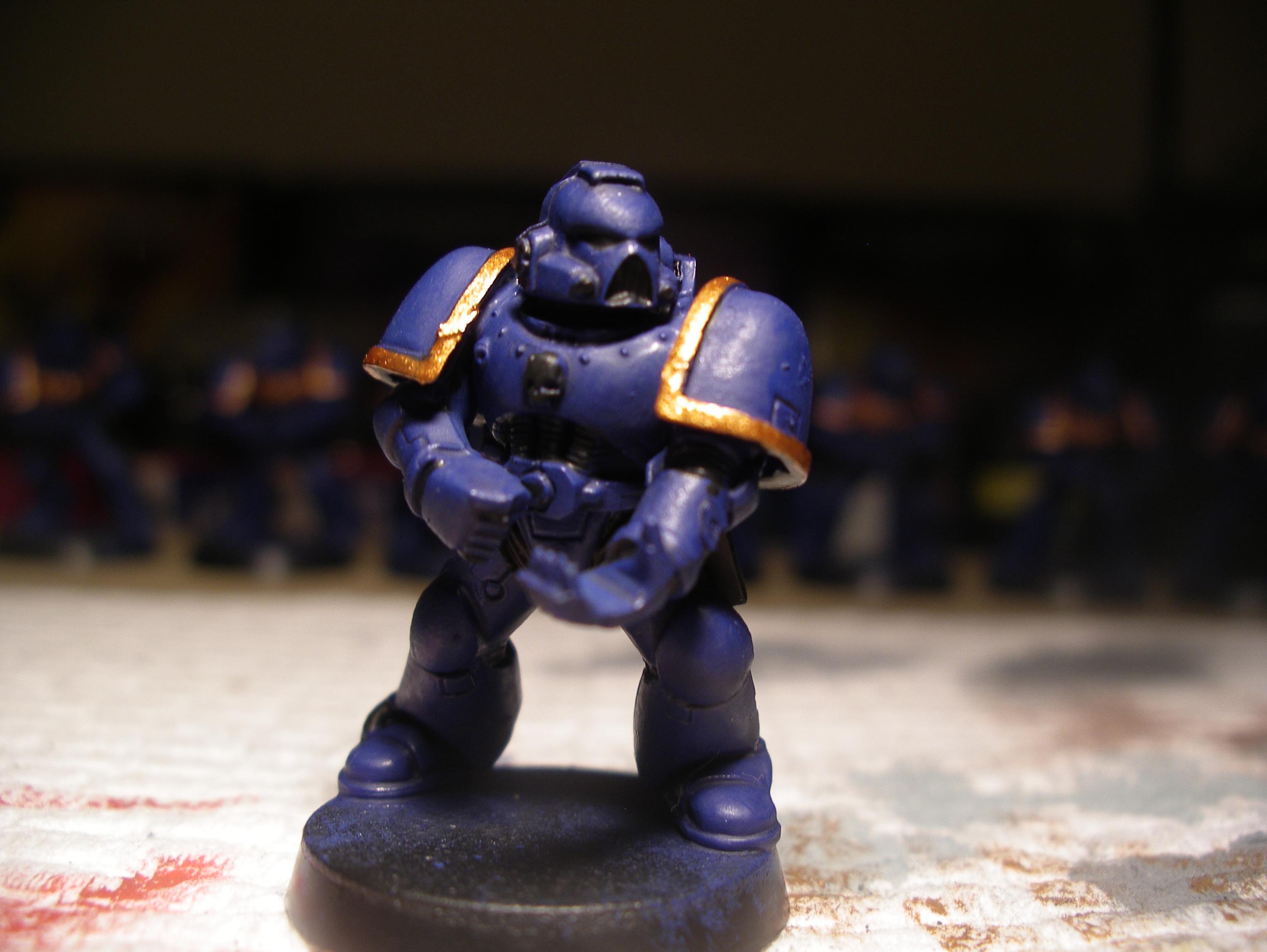 marine with gold 8