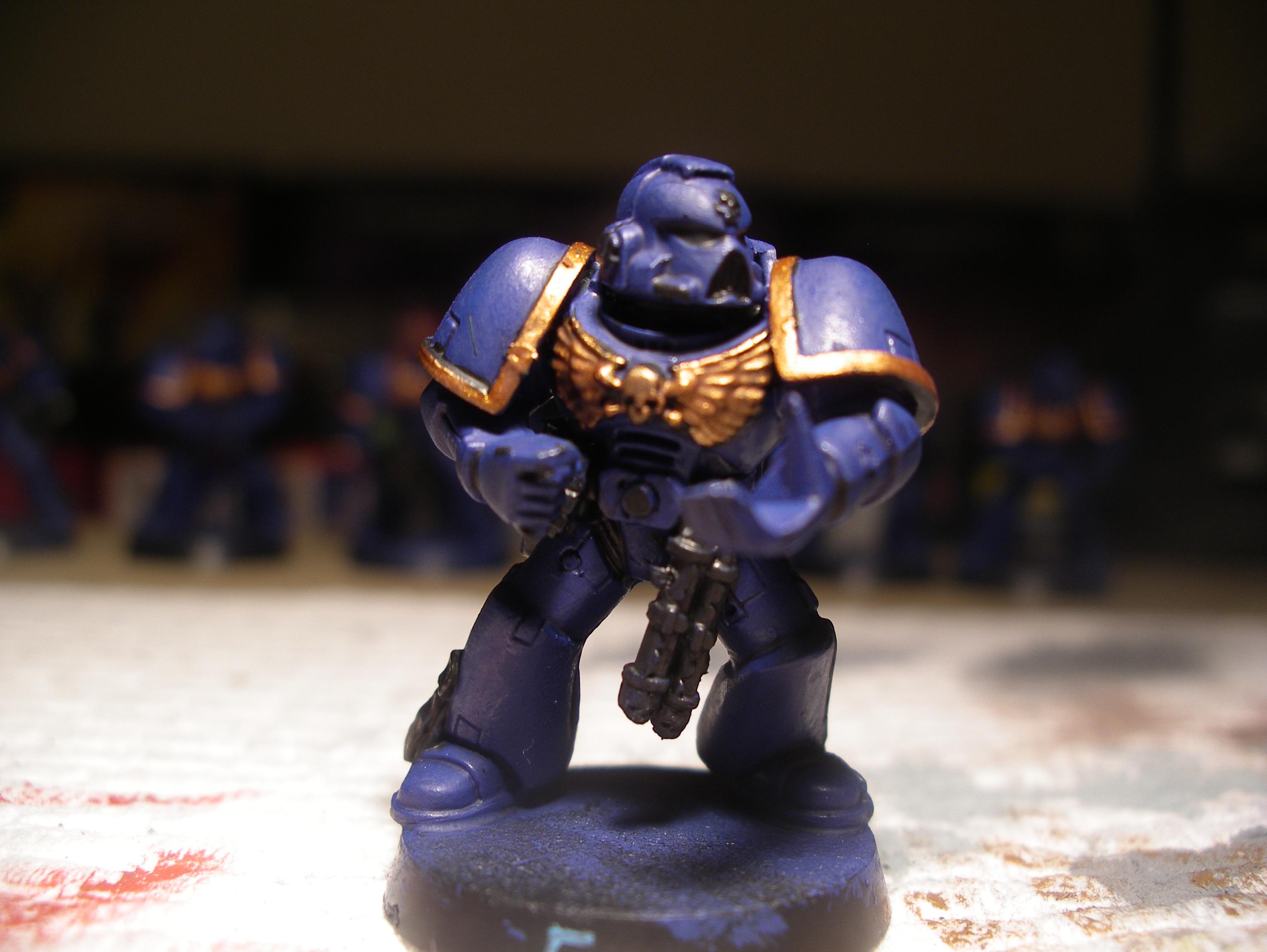 marine with gold 1