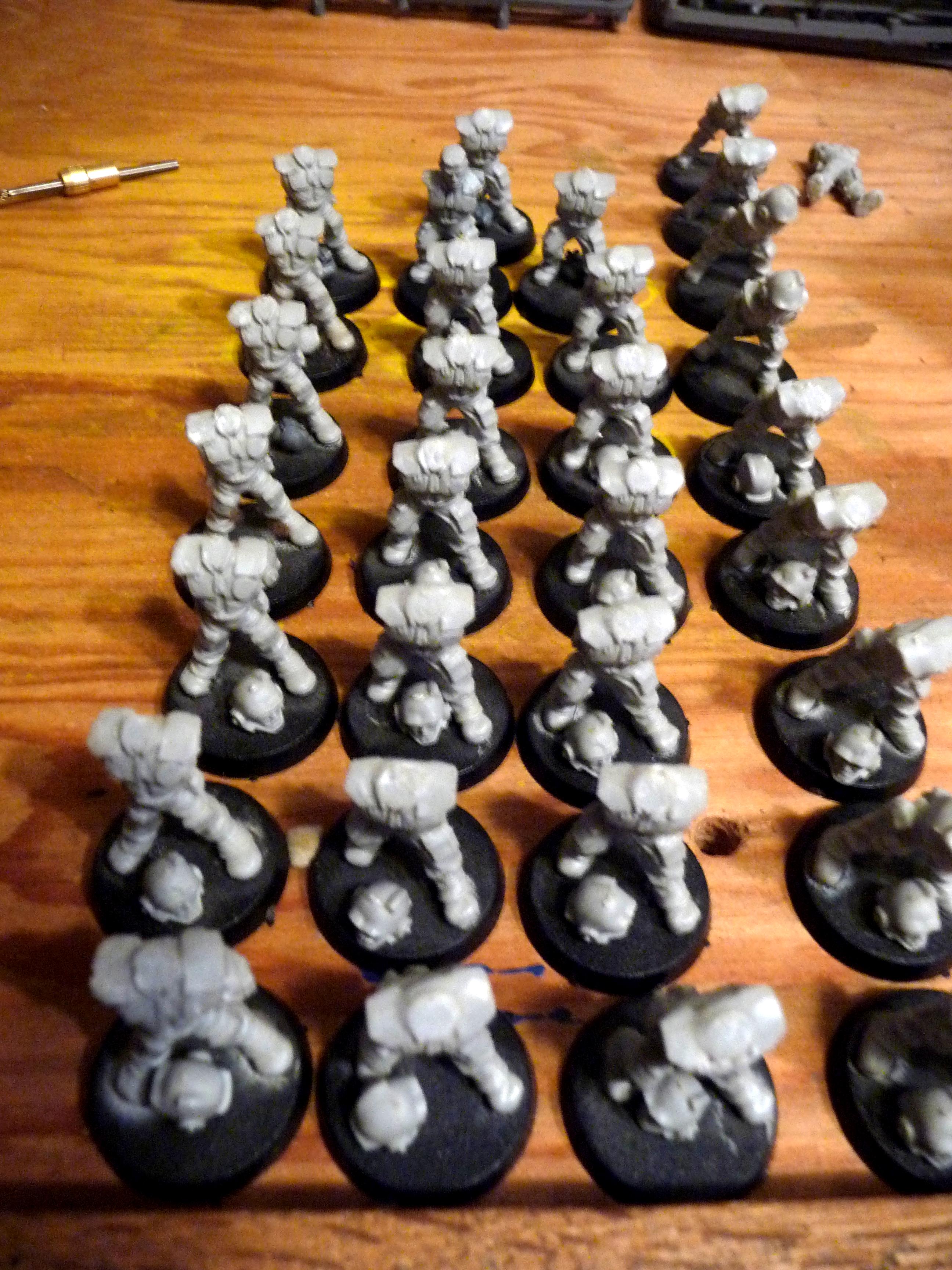 Imperial Guard, Rogue Trader