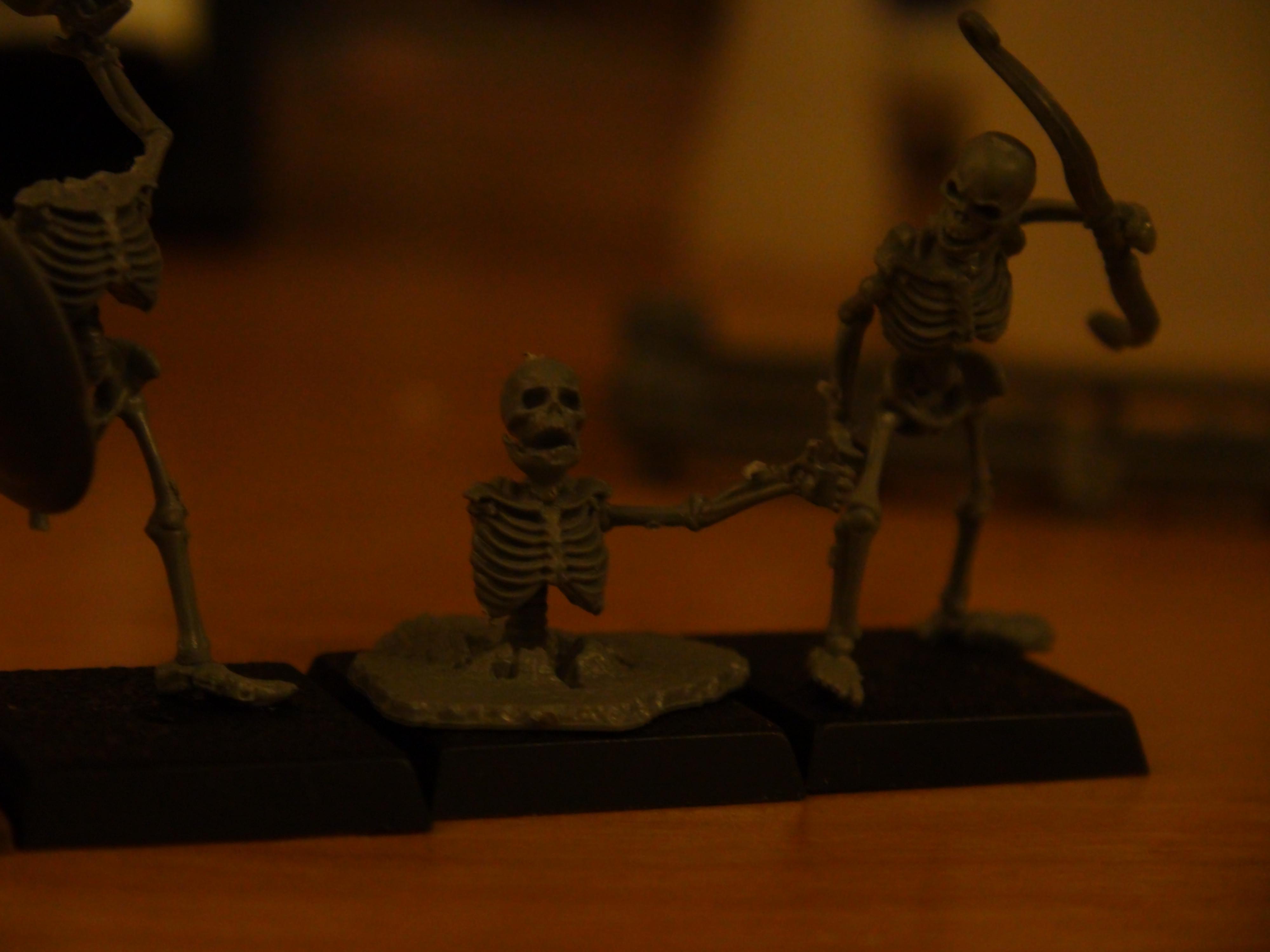 Skeletons, Tomb Kings, Undead, Warhammer Fantasy