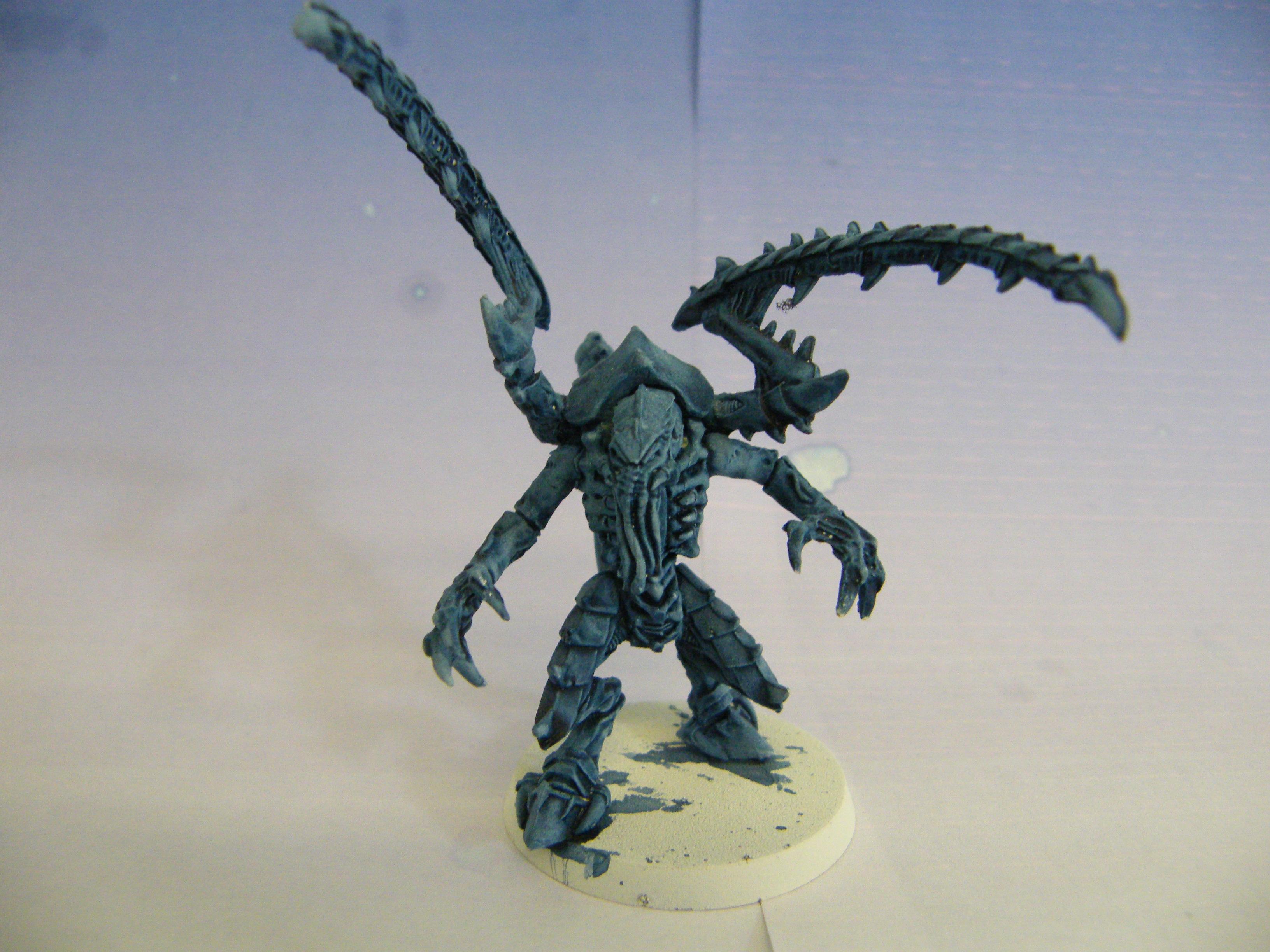 Lictor Front