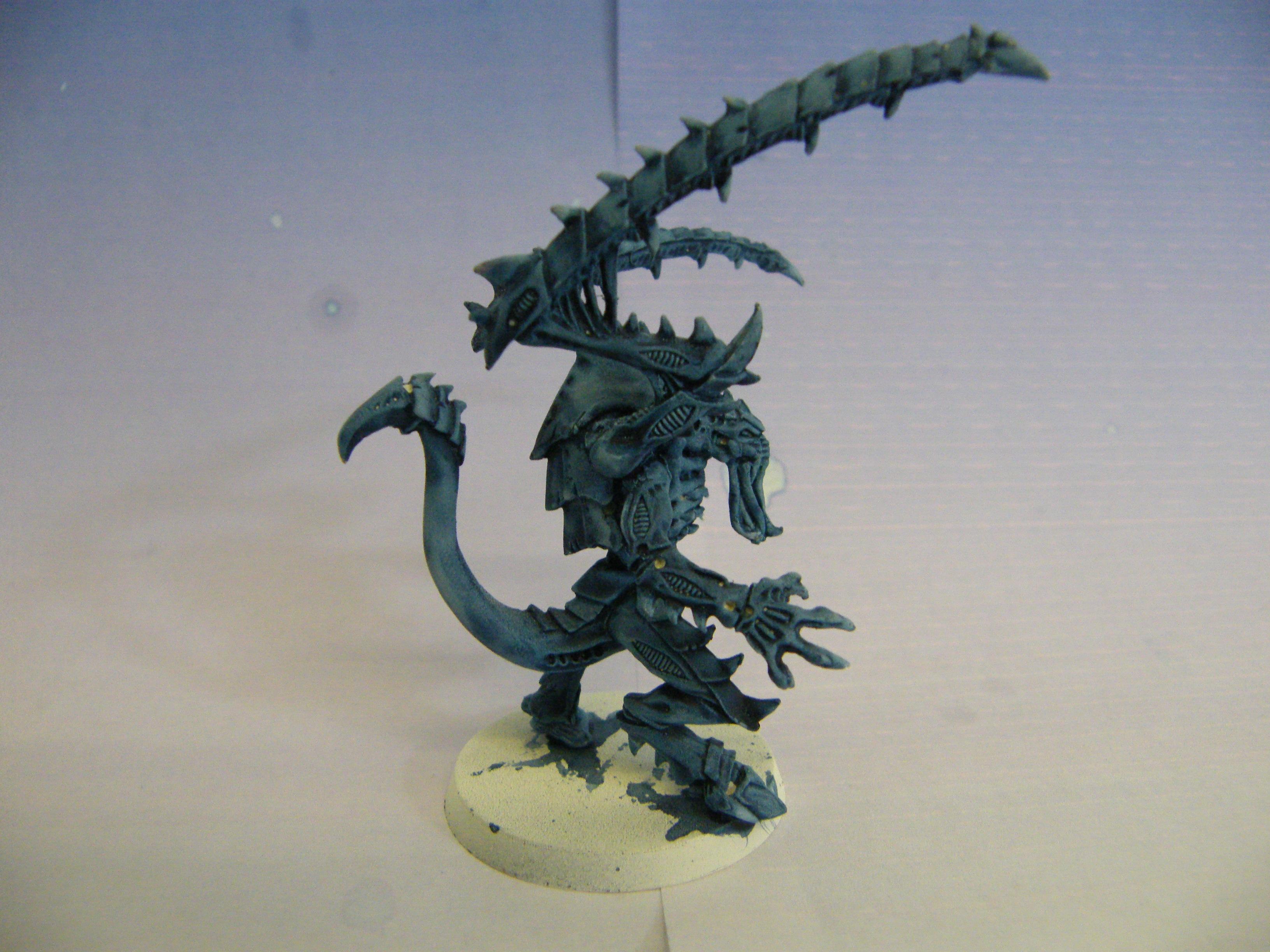Lictor Side