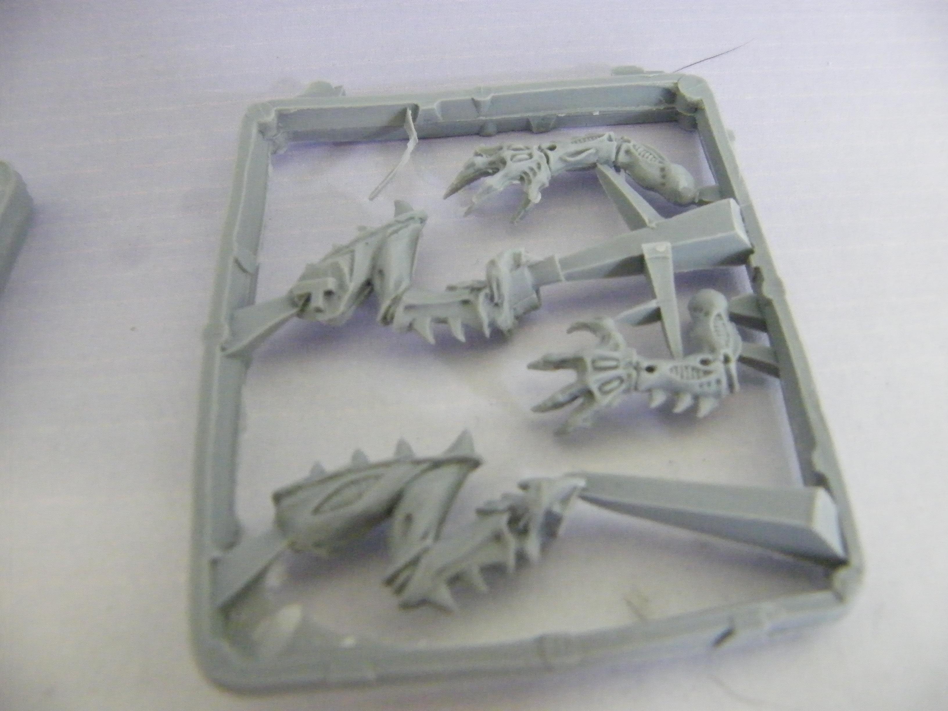 Limb Sprue 2