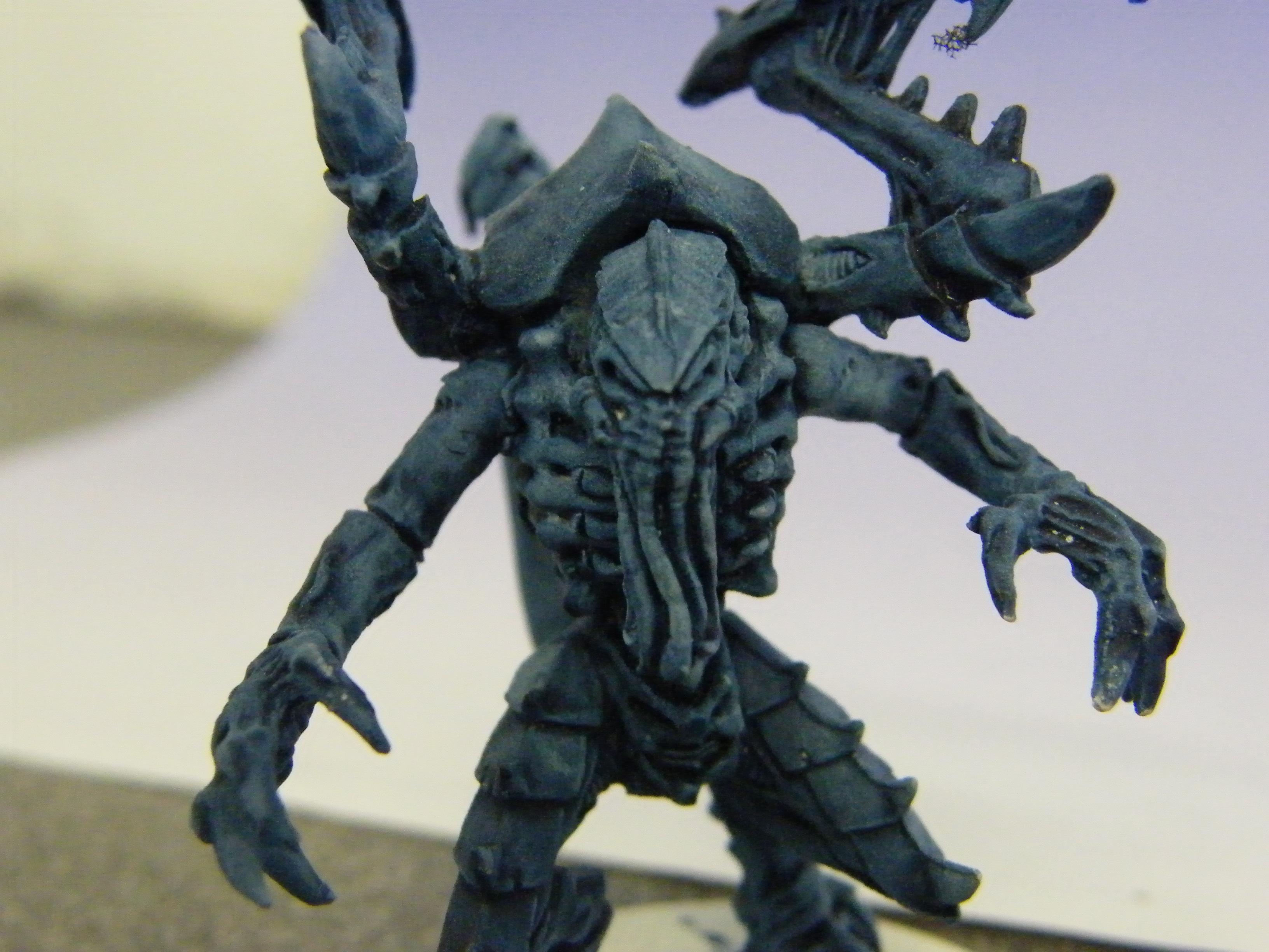 Head Compare Front