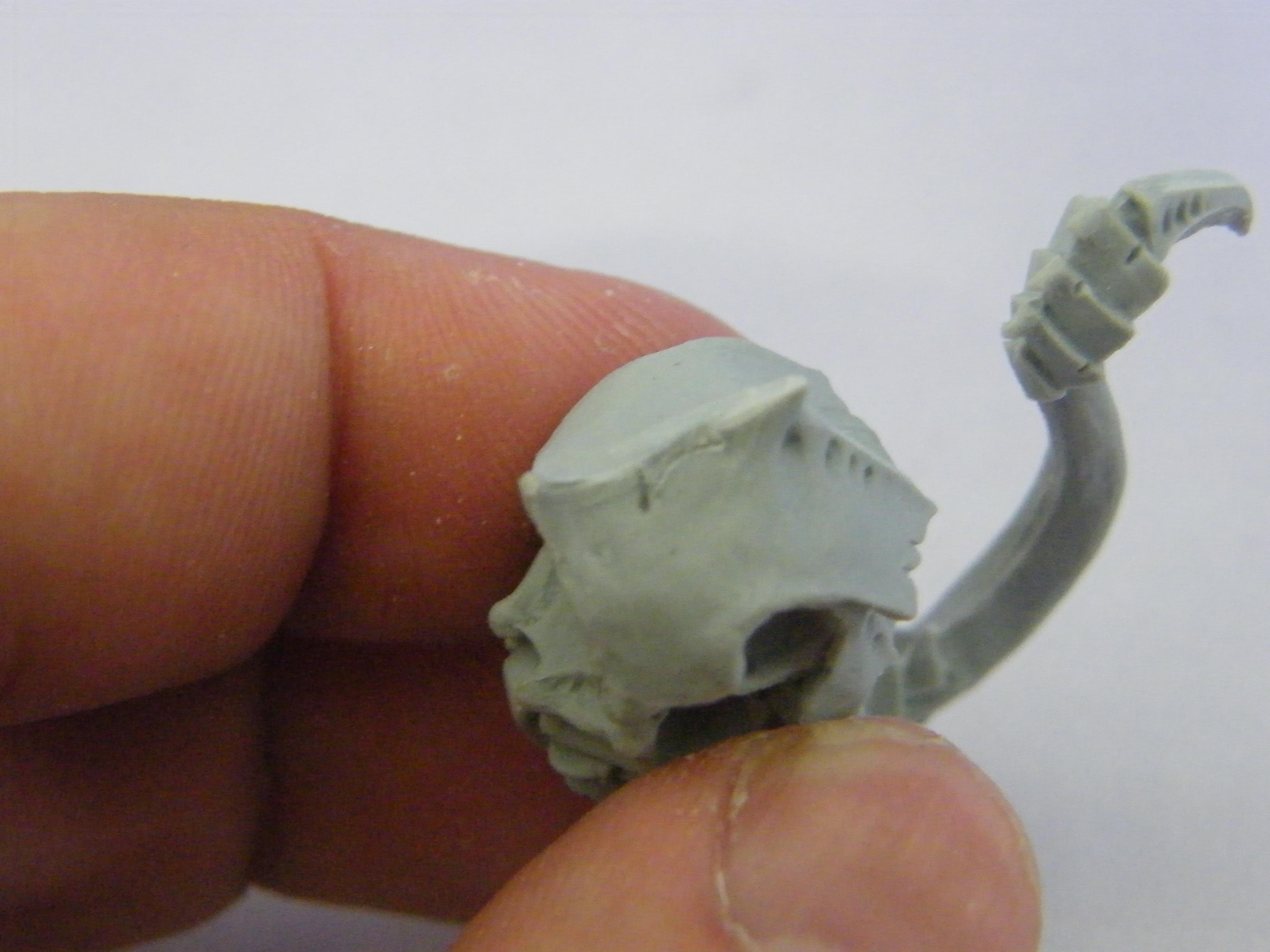 Carapace Bubbles