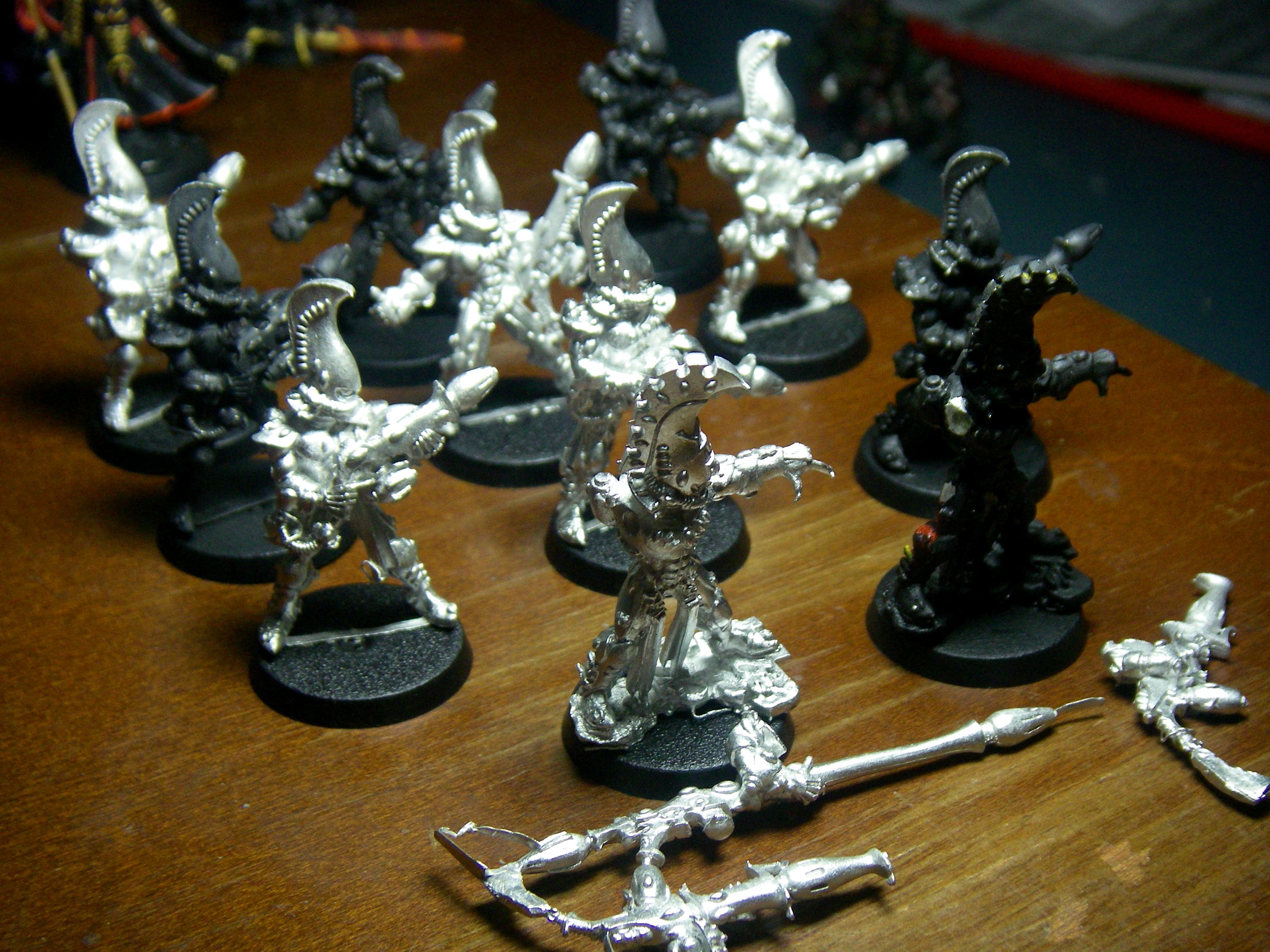 Fire Dragons