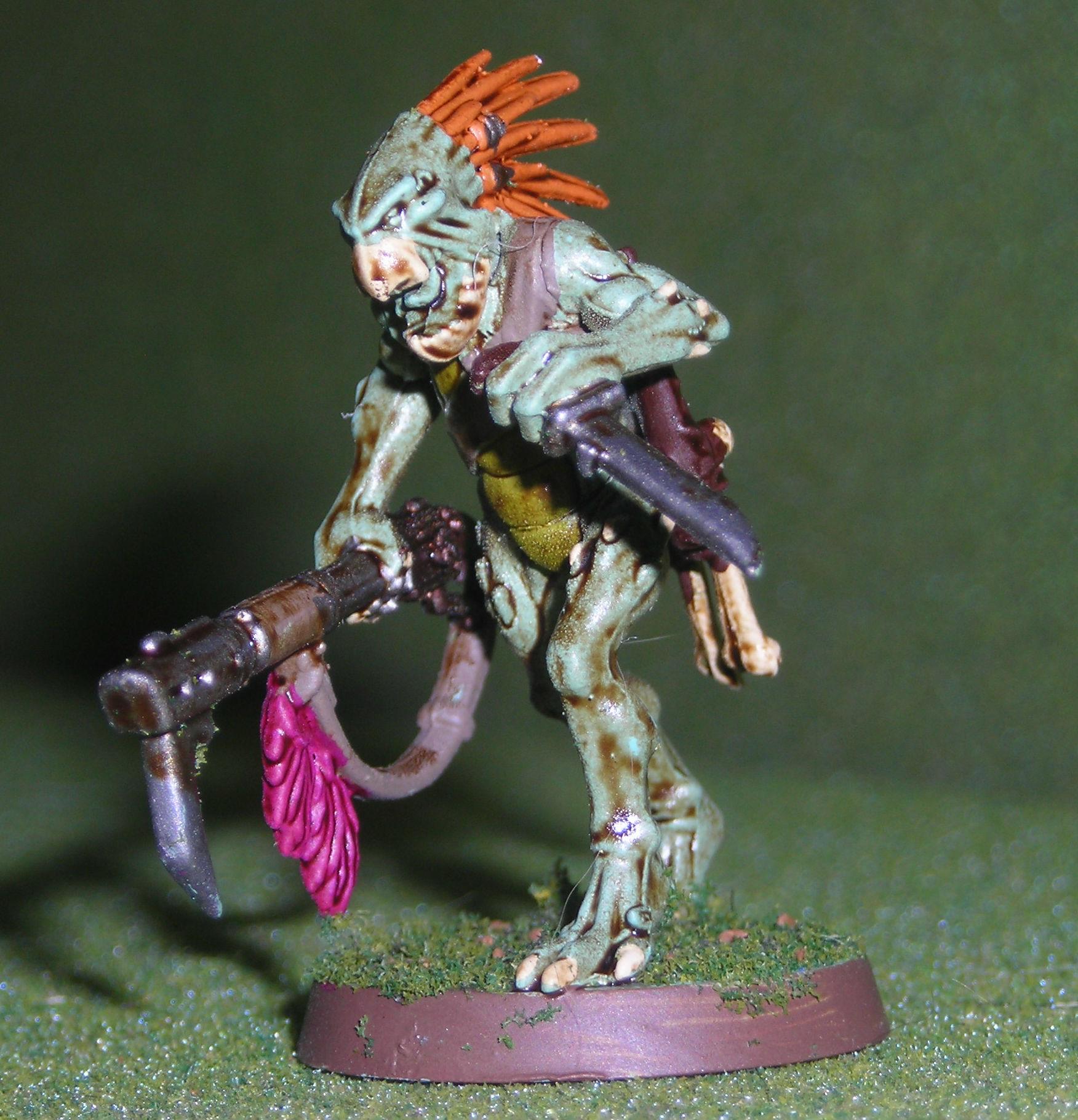 Kroot, Tau