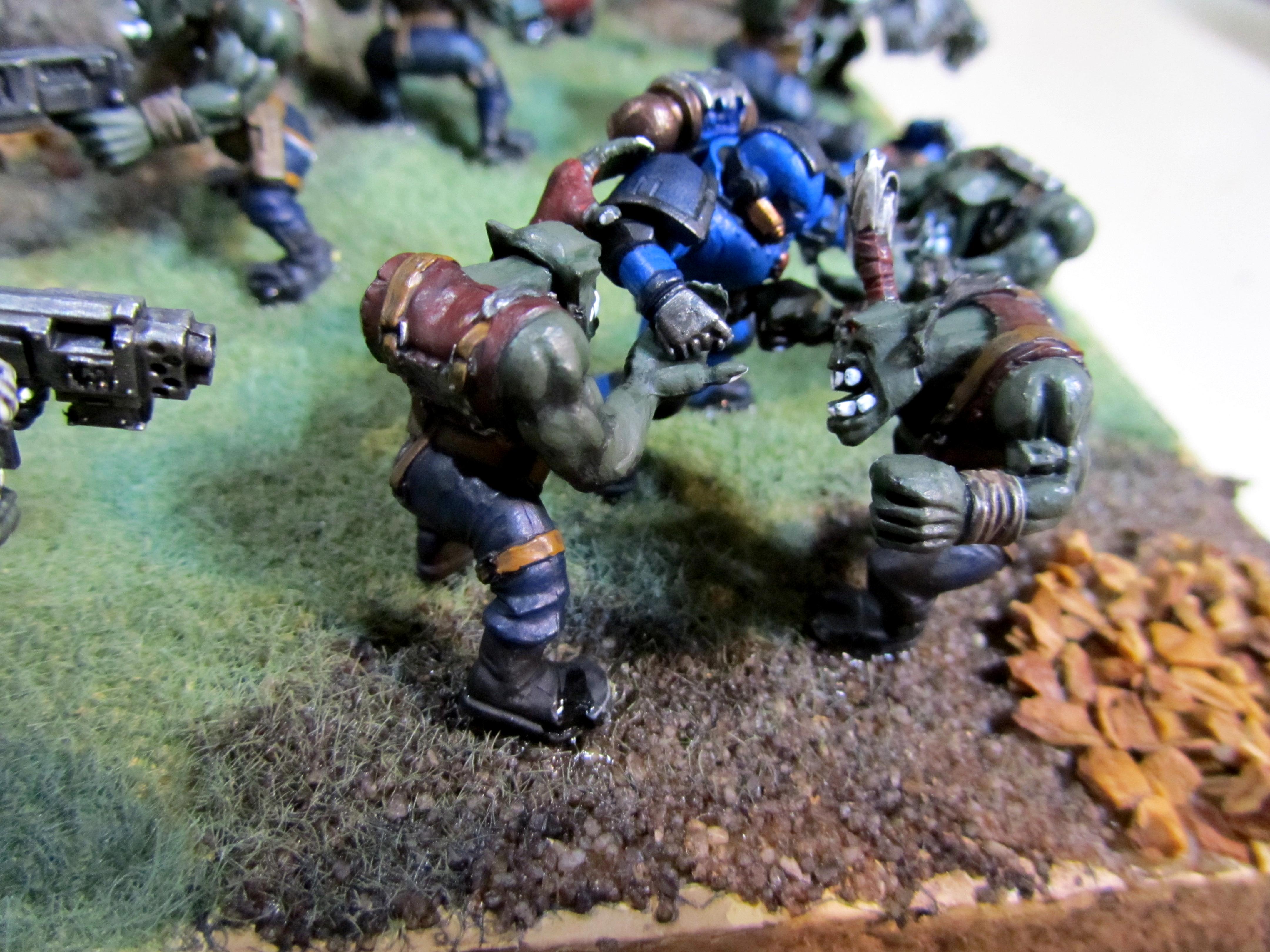 Diorama, Orks, Space Marines