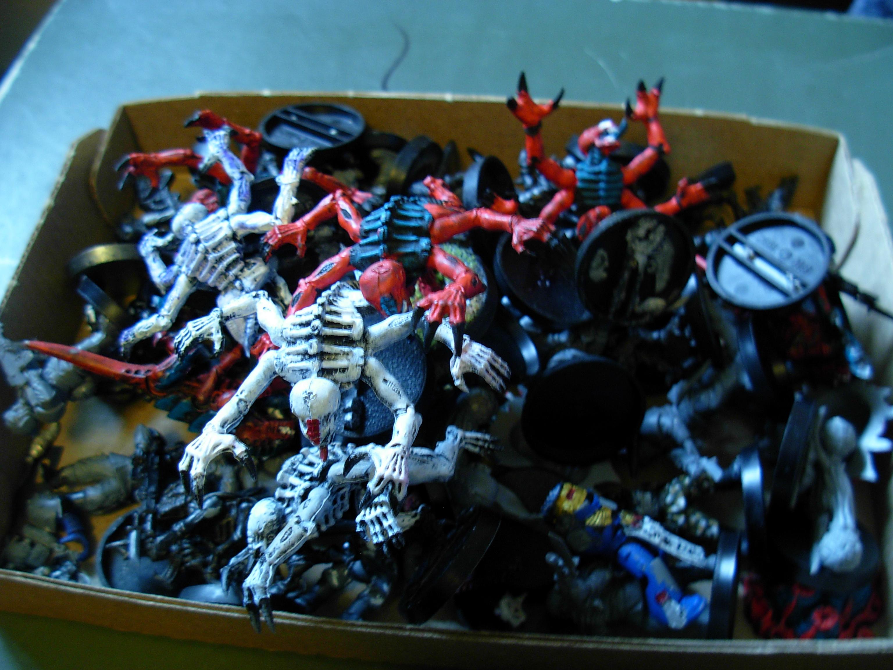 Misc. Models