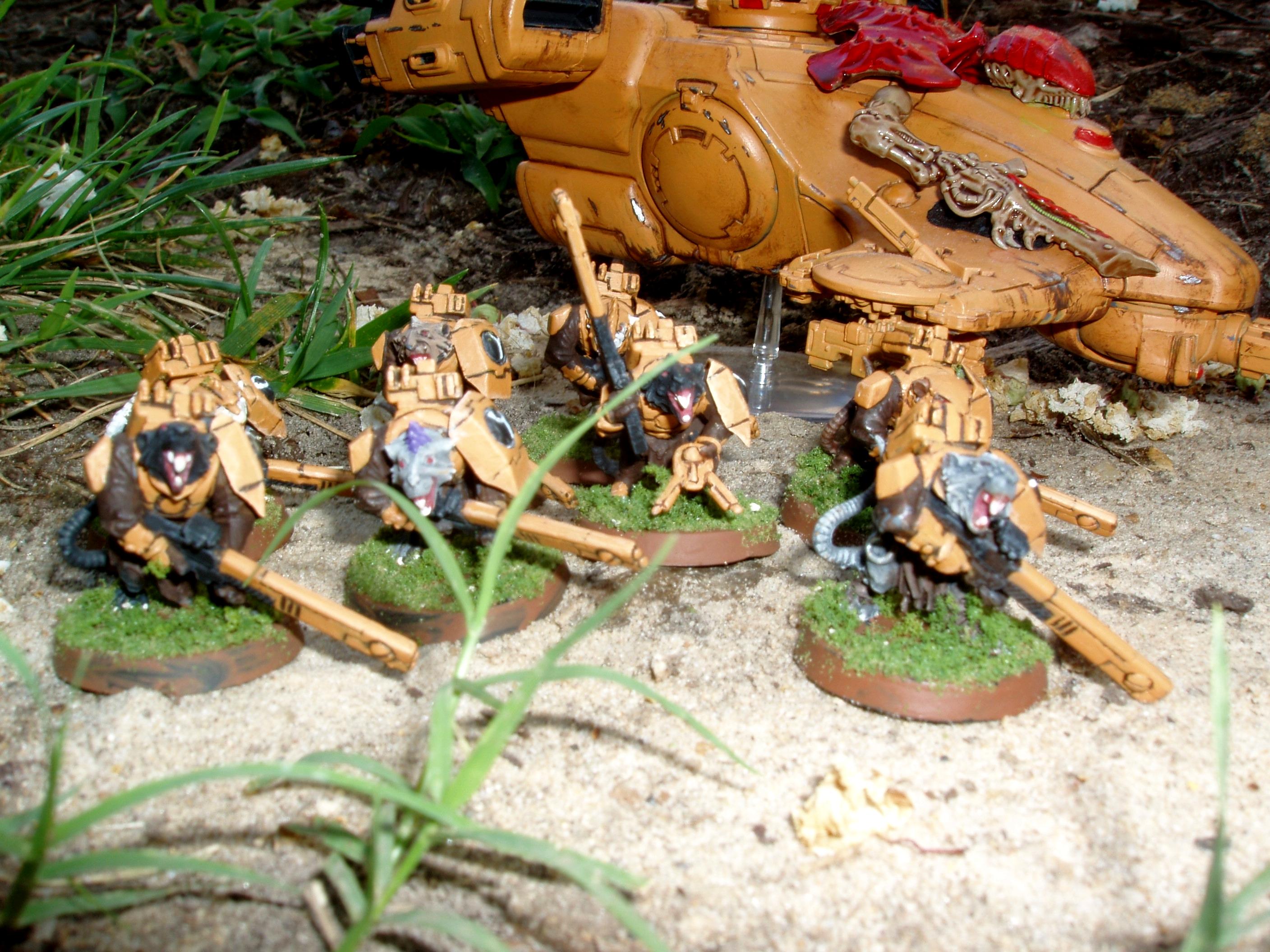 Conversion, Tau, Tau Skaven Auxiliaries